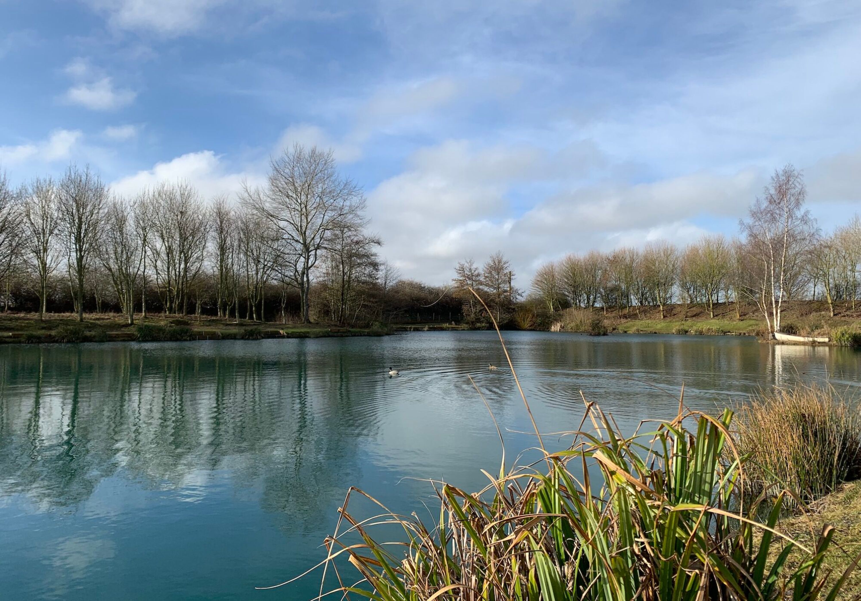 Bradley Lakes