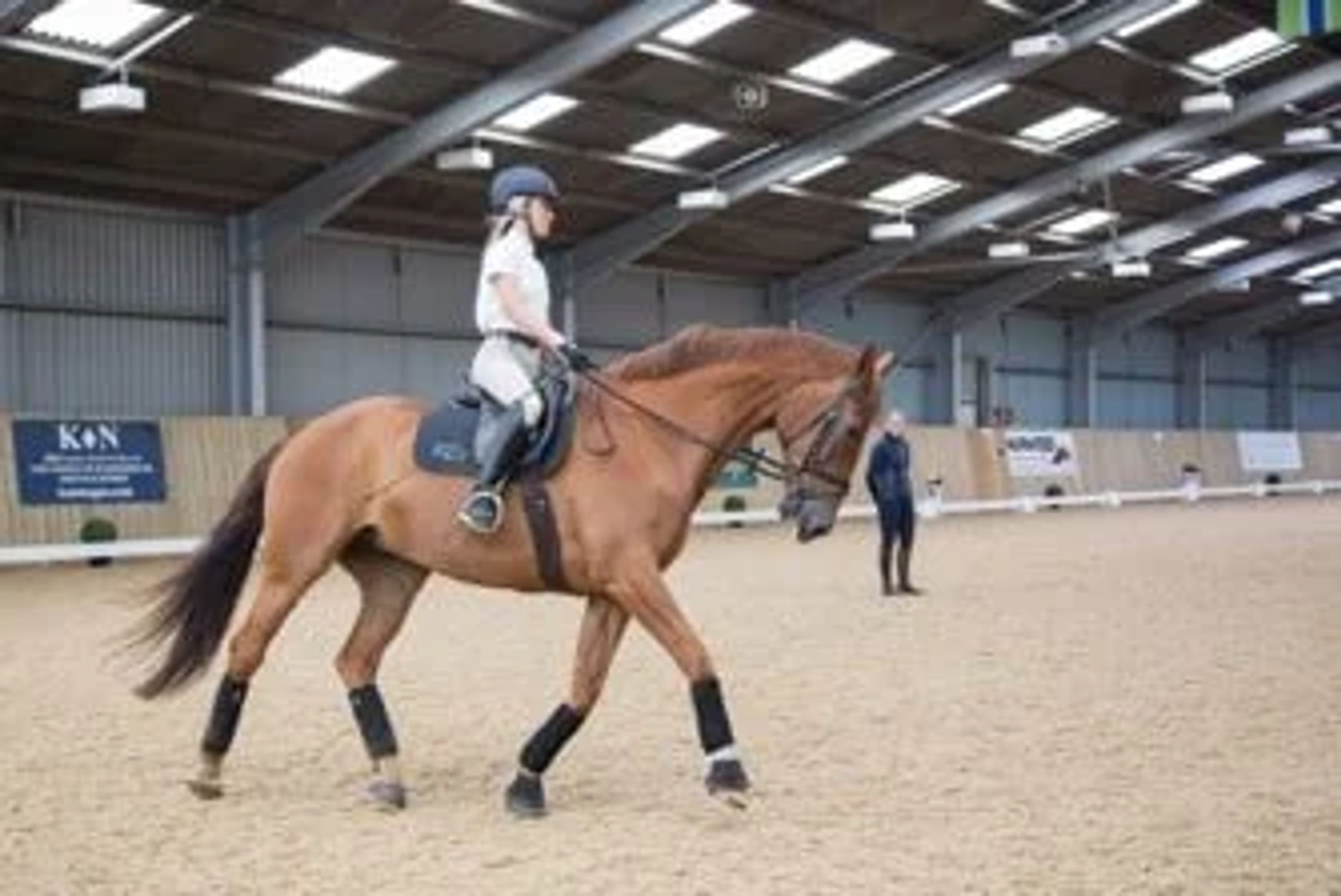 Affiliated Showjumping Schedules