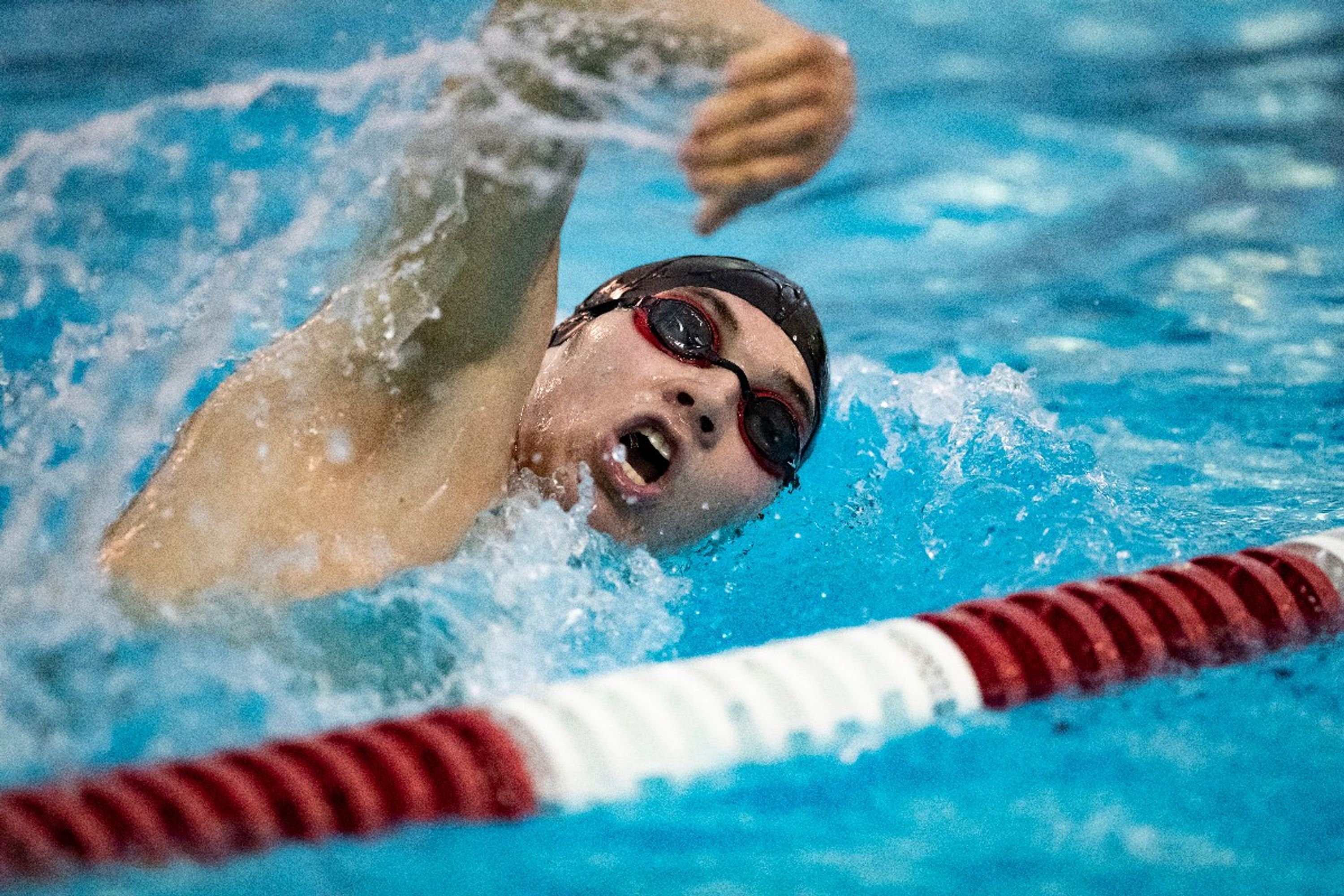 Sackville Swim CLub