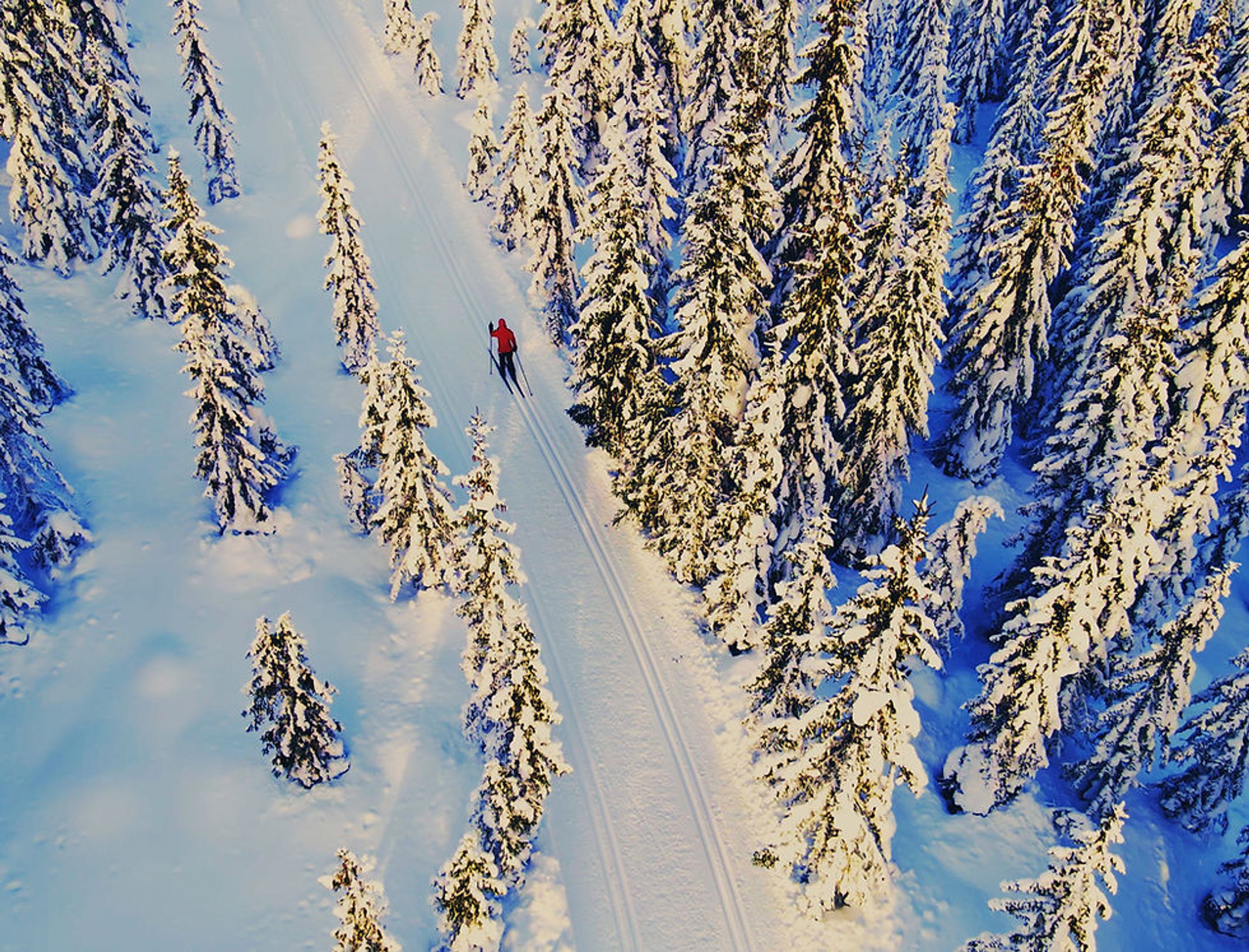 Kelowna Nordic Ski and Snowshoe Club