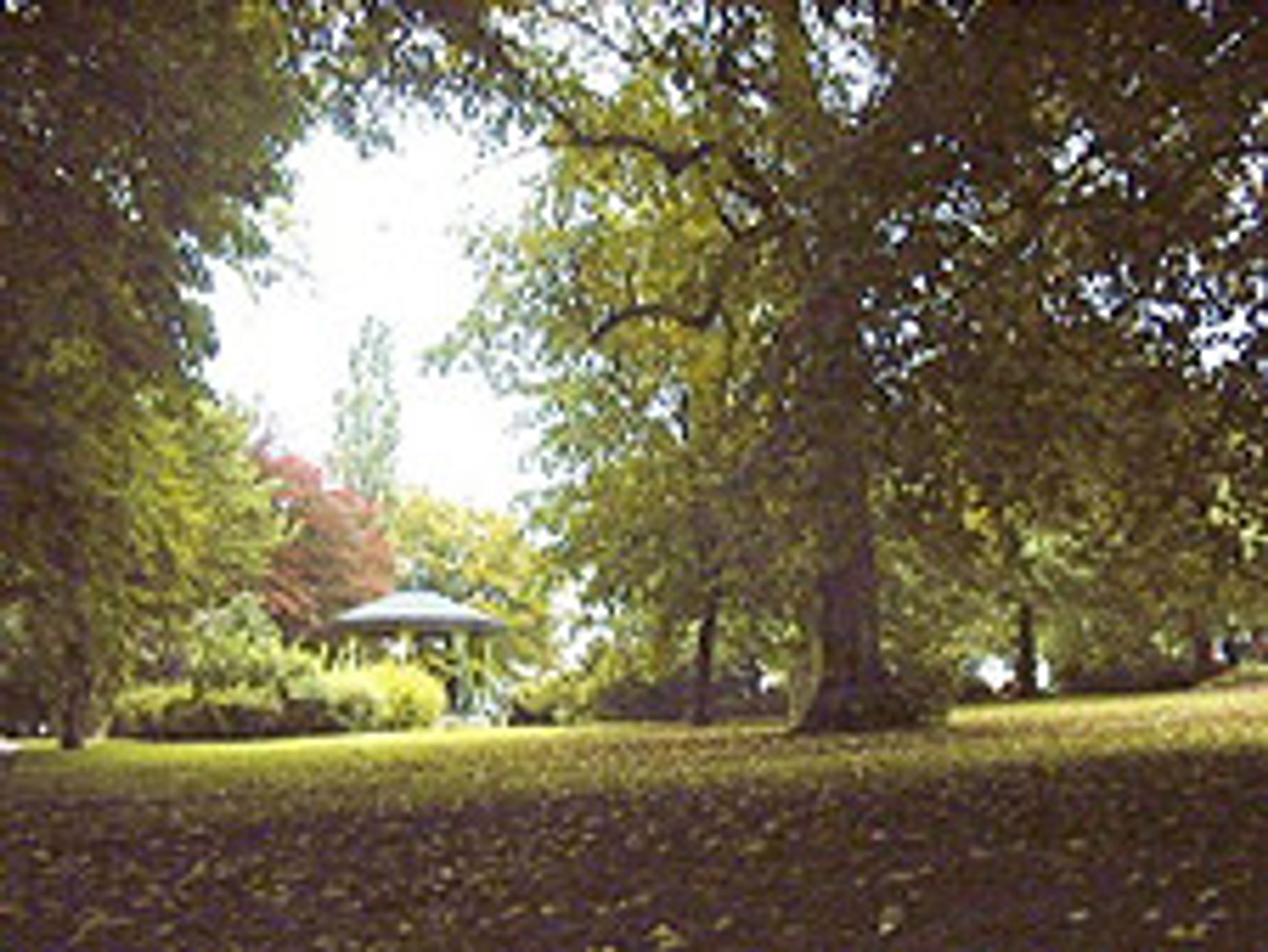 Green Spaces for Wellbeing
