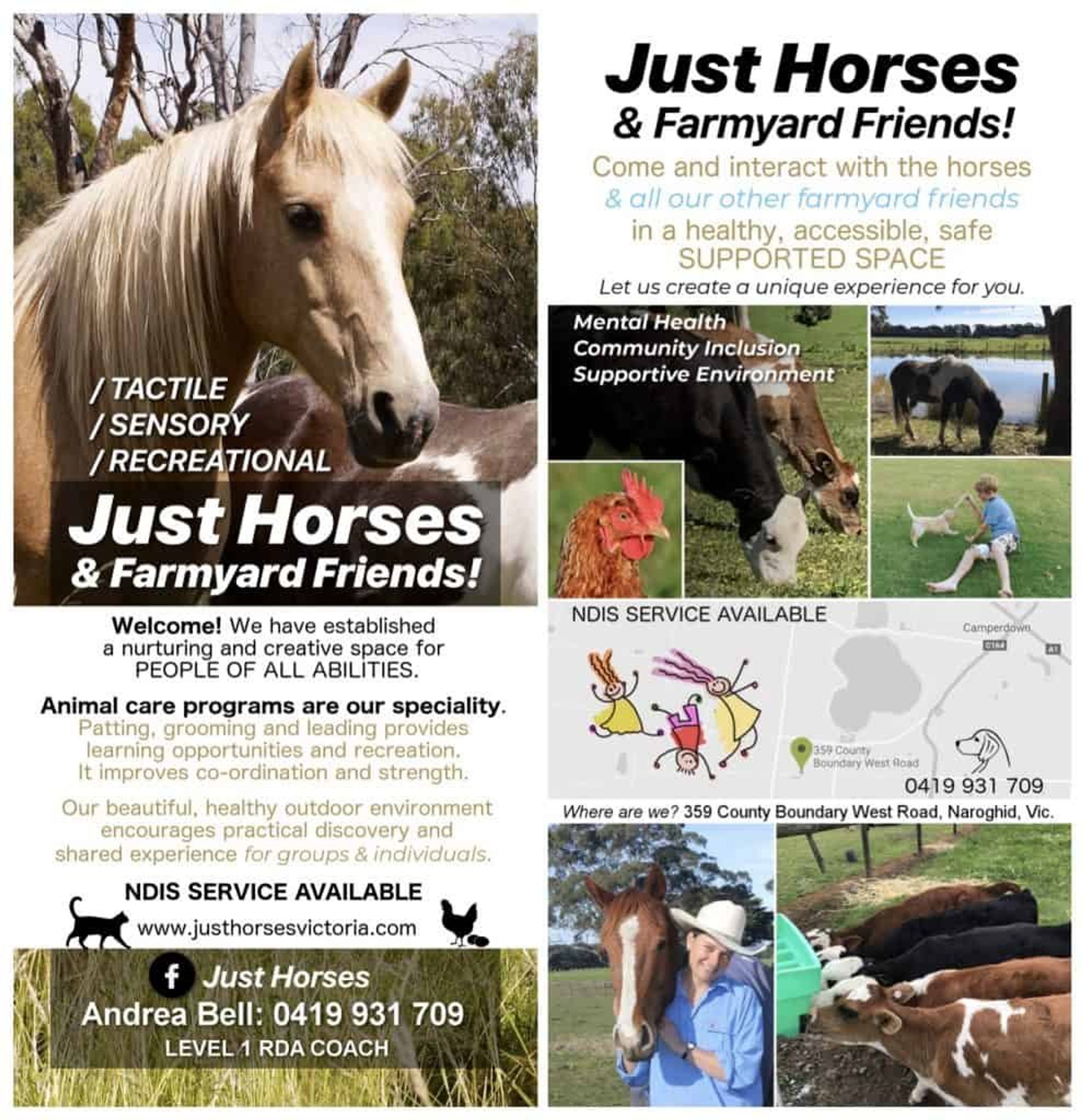 Just Horses