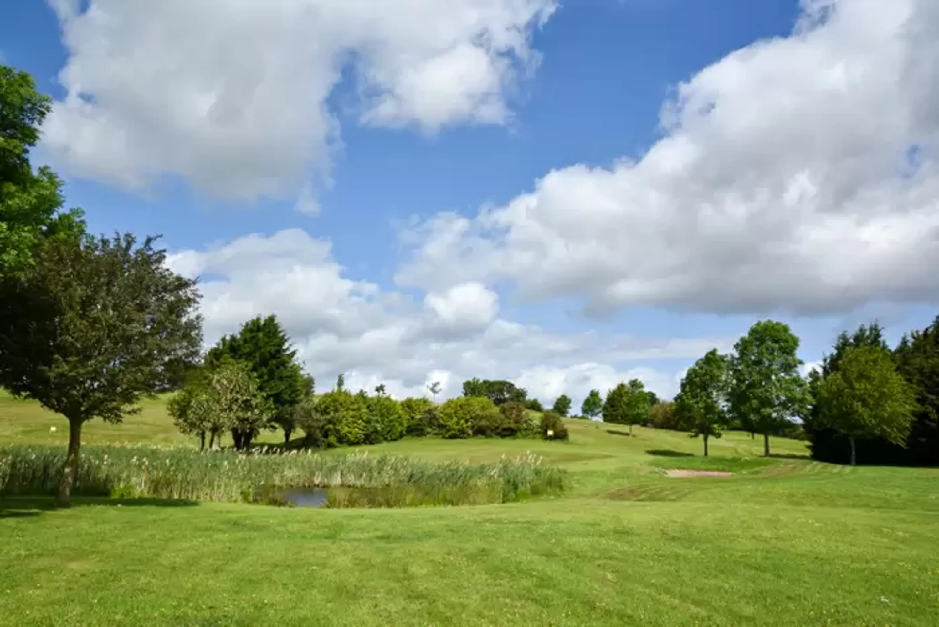 Flint Mountain Park Golf Course