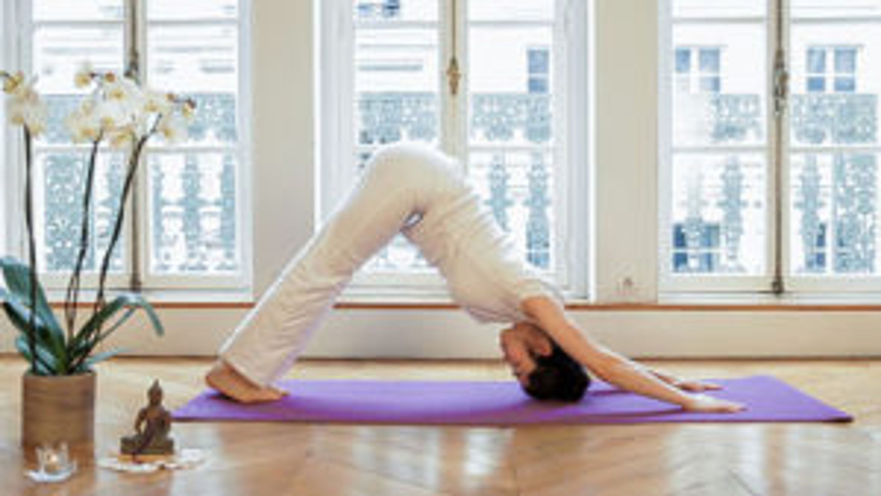 Omkamala Yoga Et Non Dualité