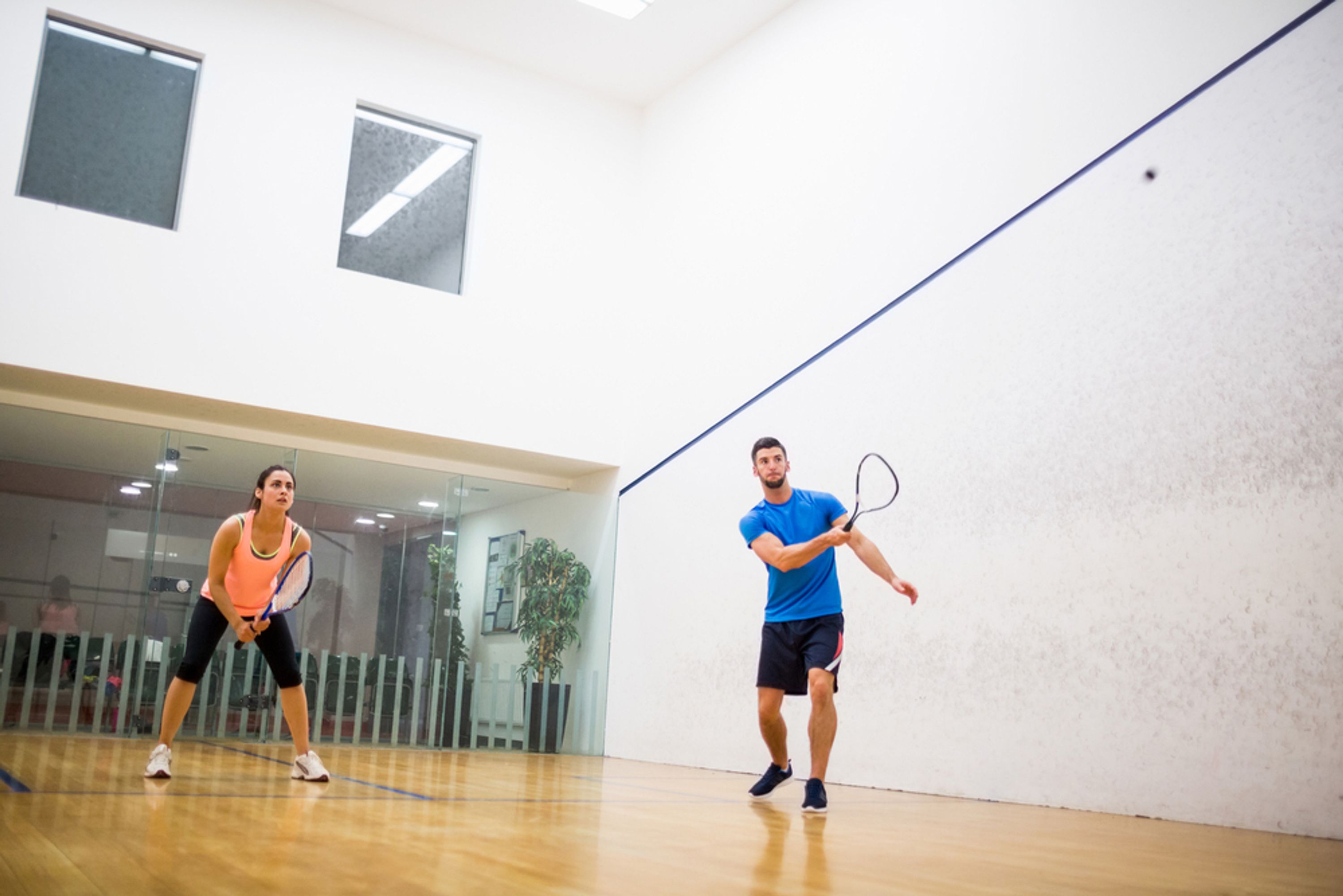 Baulkham Hills Squash & Brazilian Jiu Jitsu