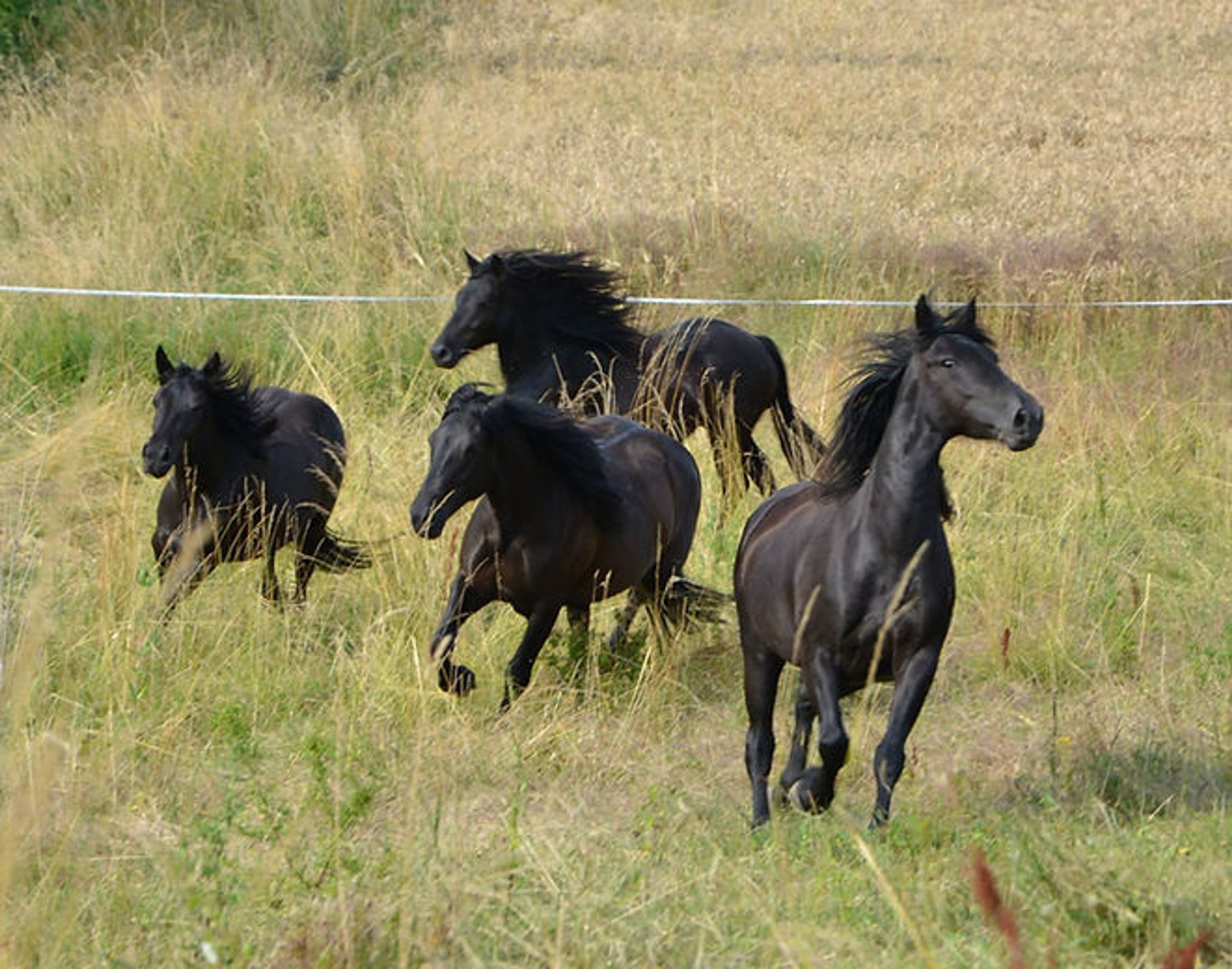 Merens du Peyral