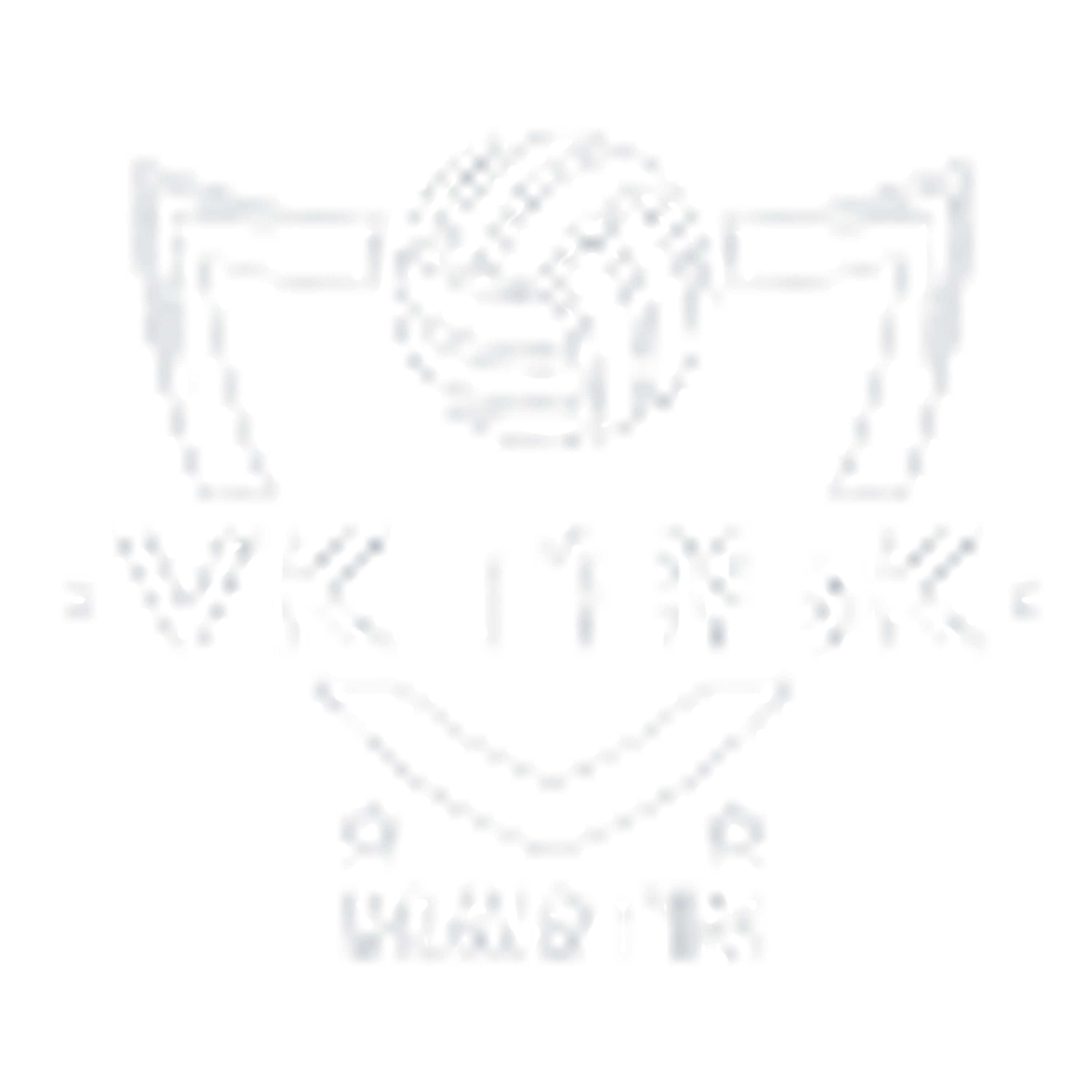 VK Task Martin