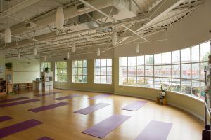 Main & 14 Arm Balance – Effective Vinyasa Series