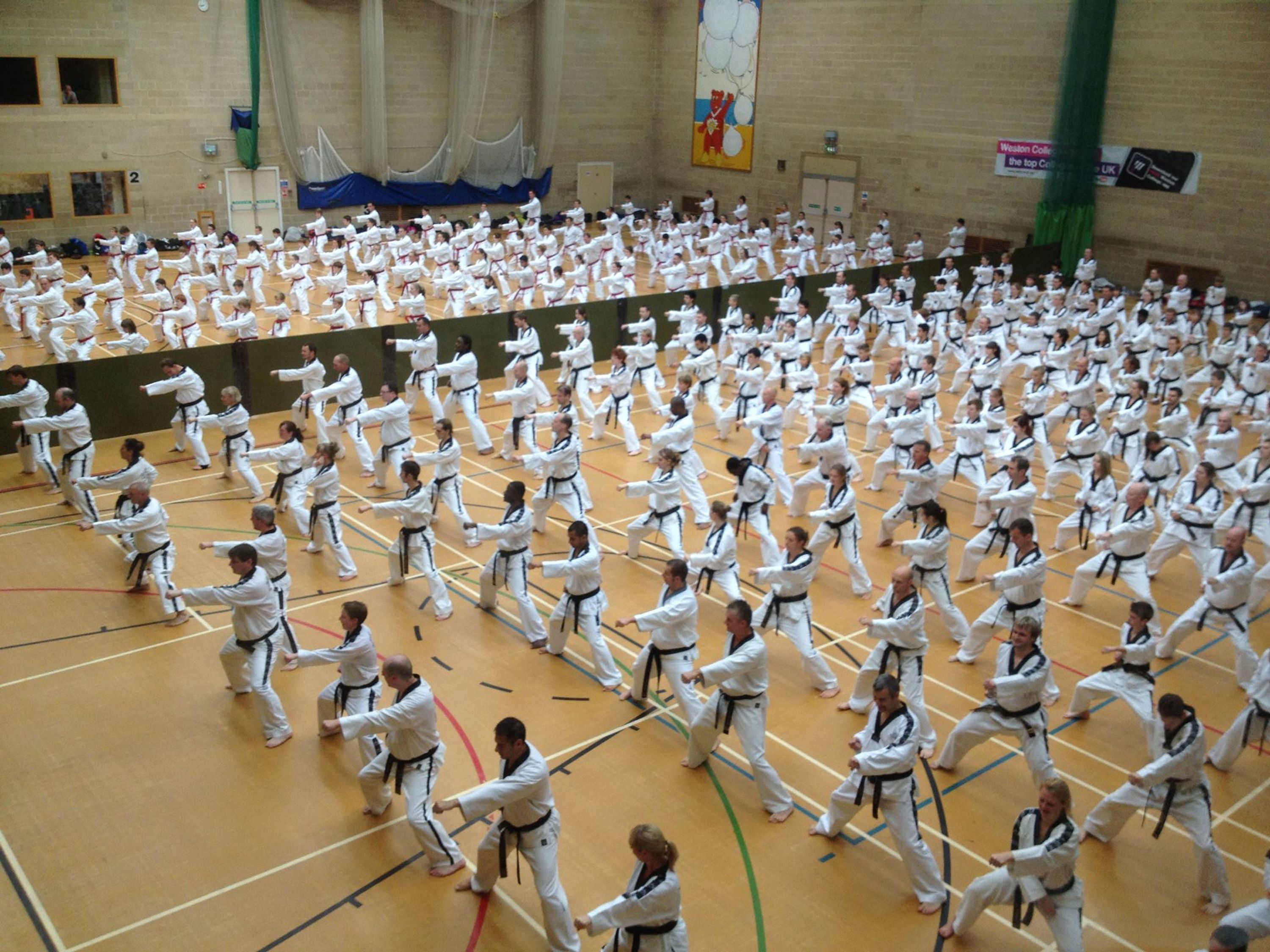 Newman Martial Arts