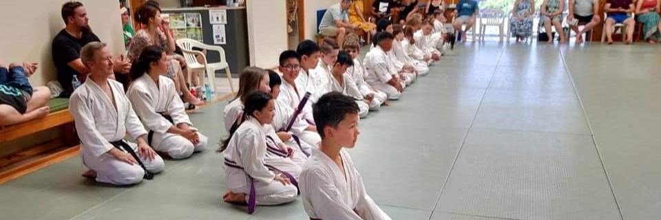 Children Aikido Class Children Aikido Class