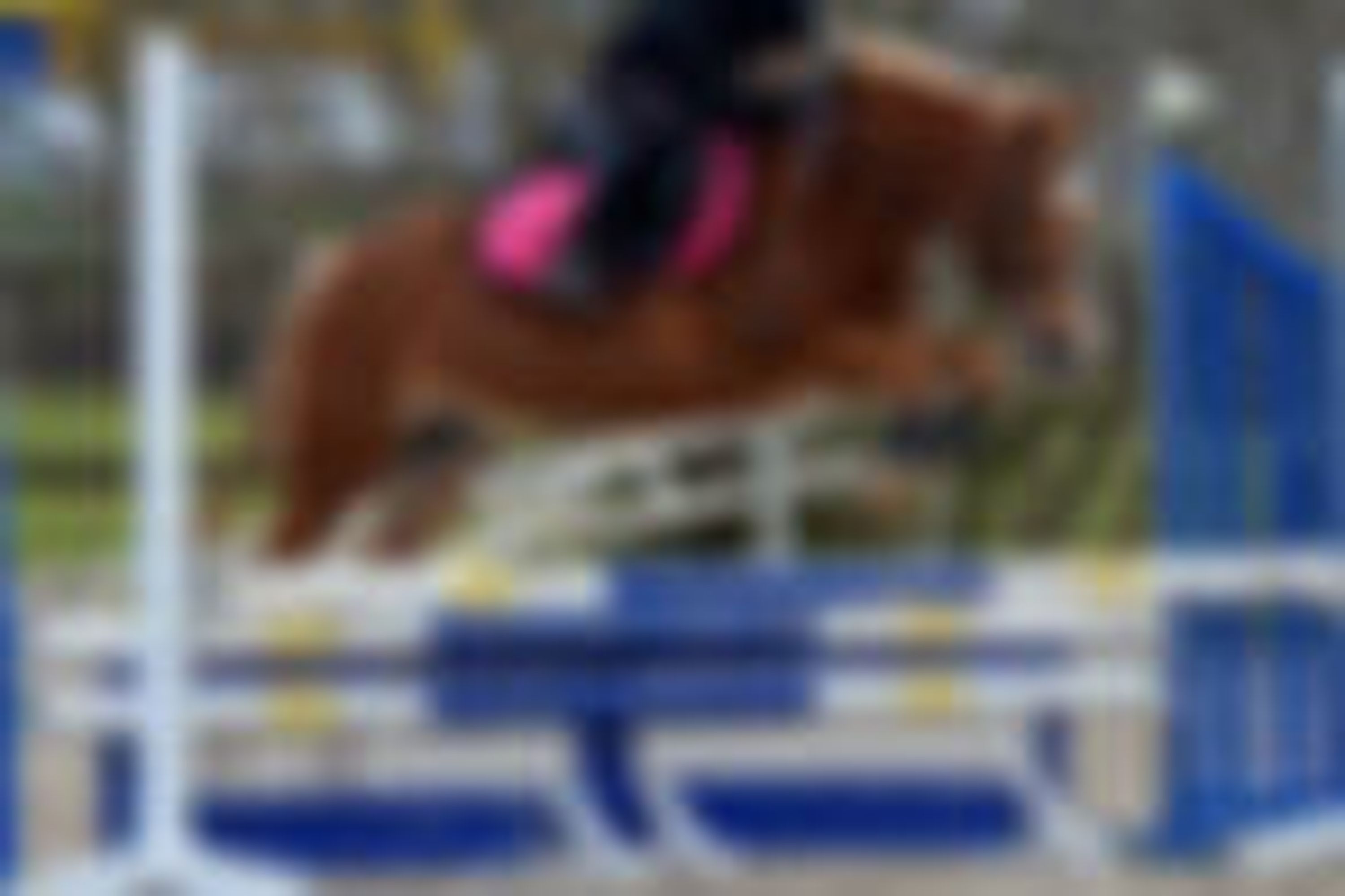 Sarl De La Ferme Equestre Du Piroue