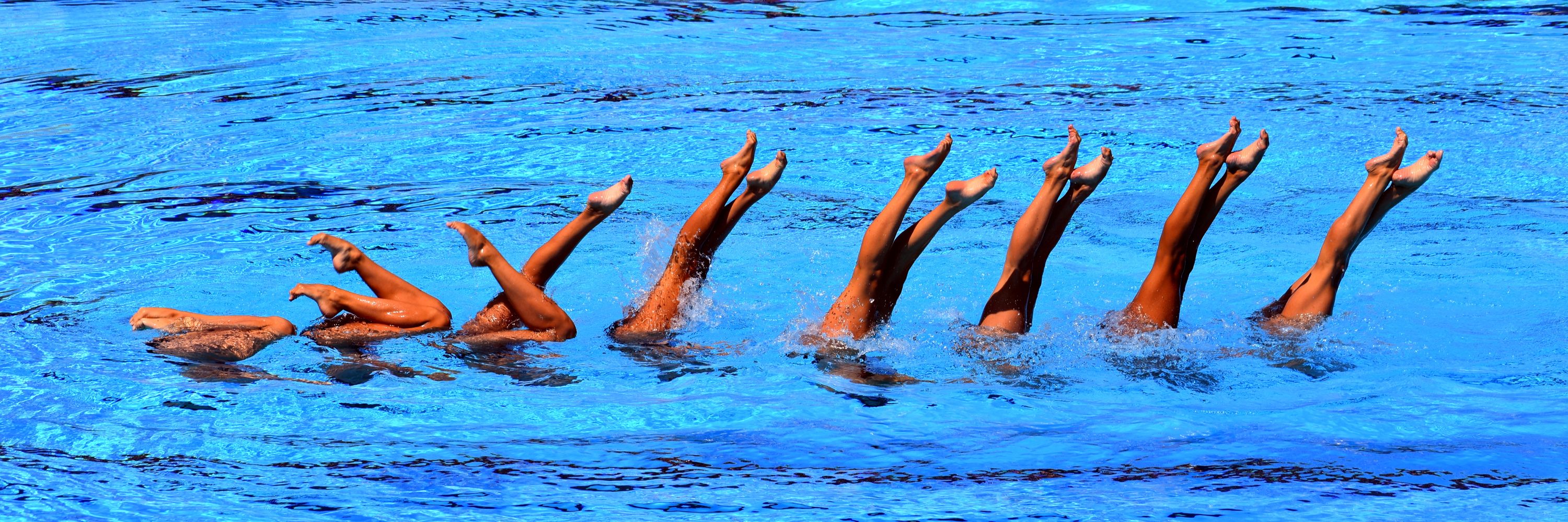 Synchro NSW