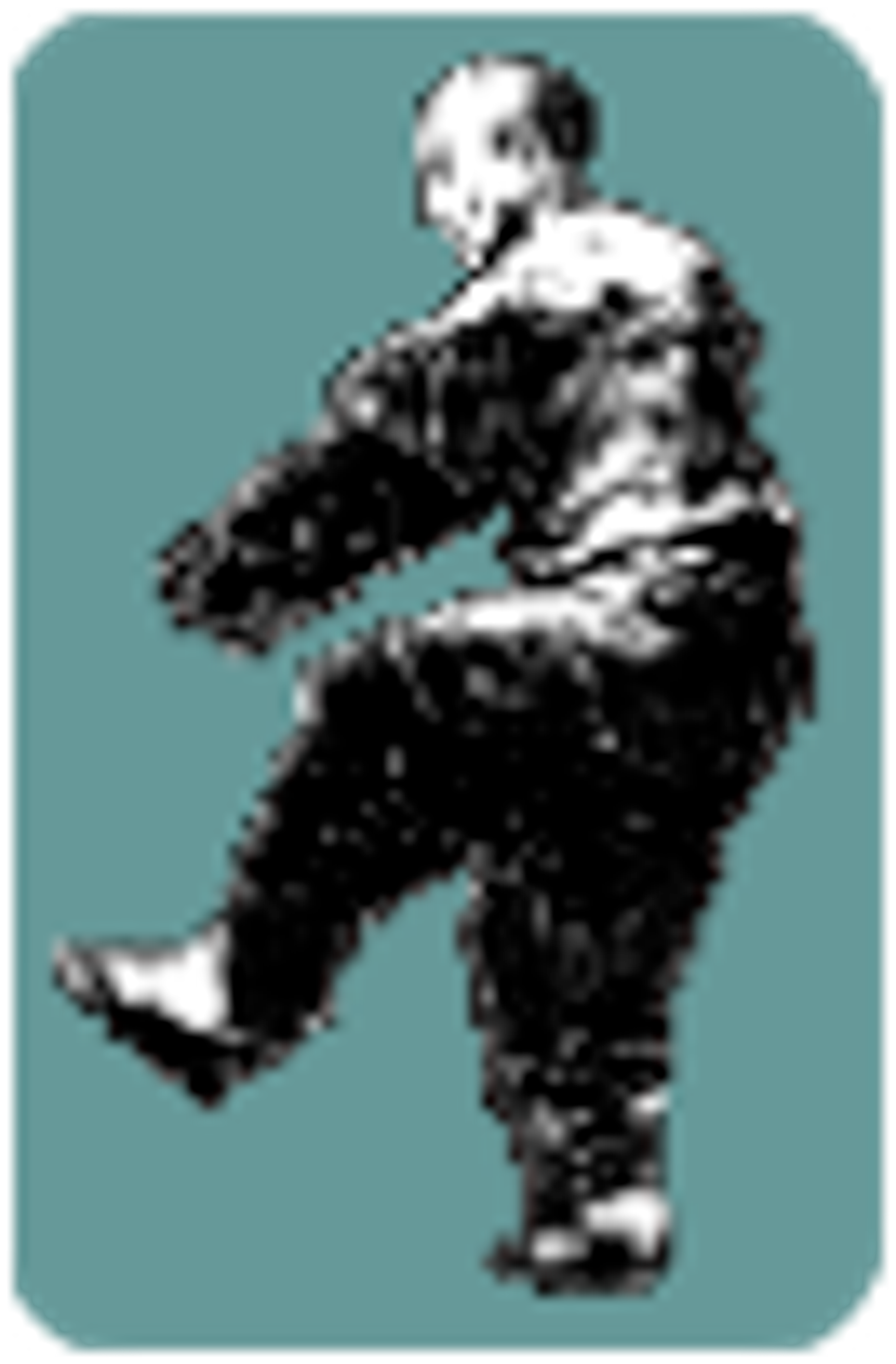 Tai Chi - La Grue Blanche, MDA Tarbes