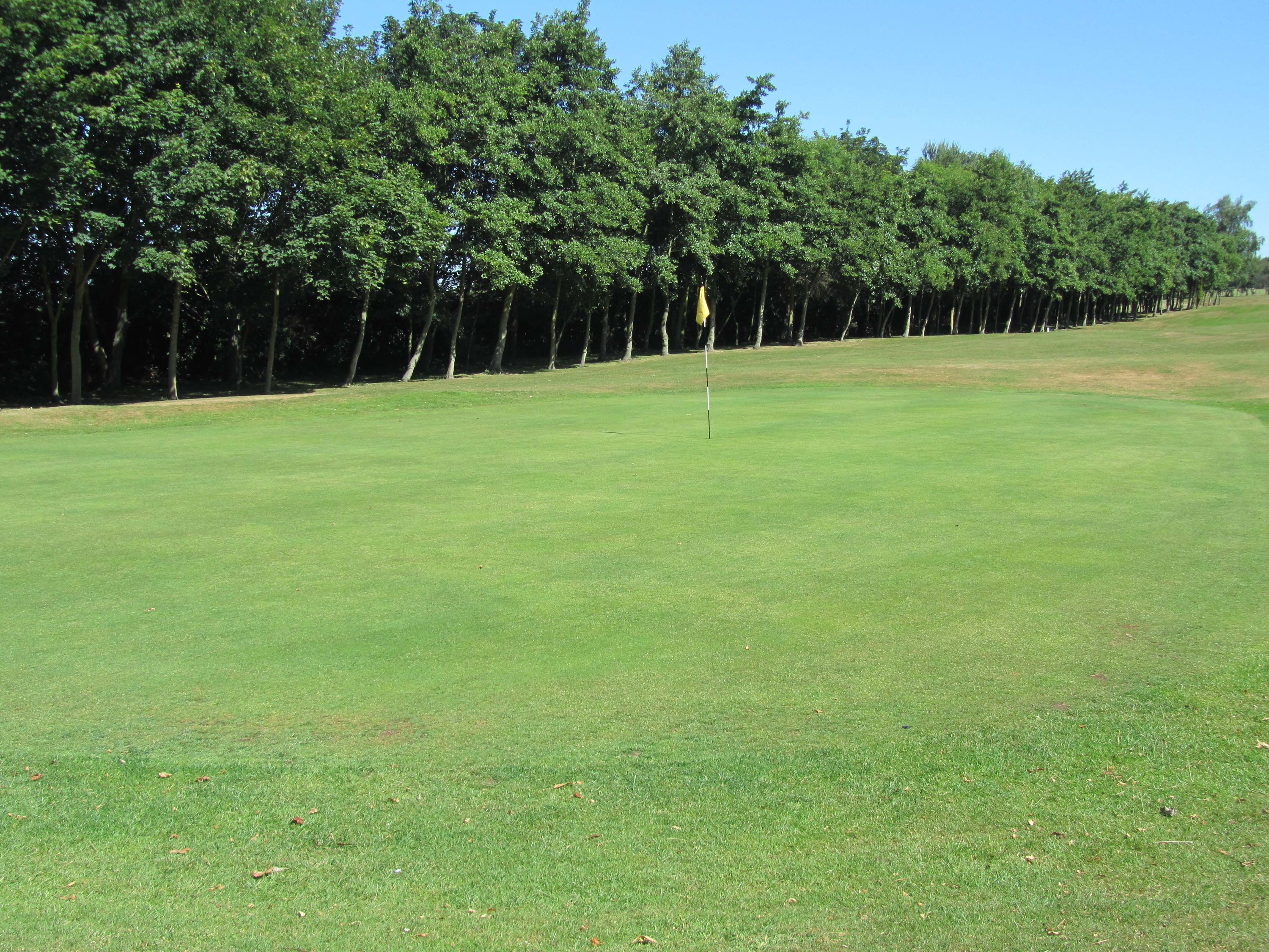 Birtley (Portobello) Golf Club Home Fixtures Results