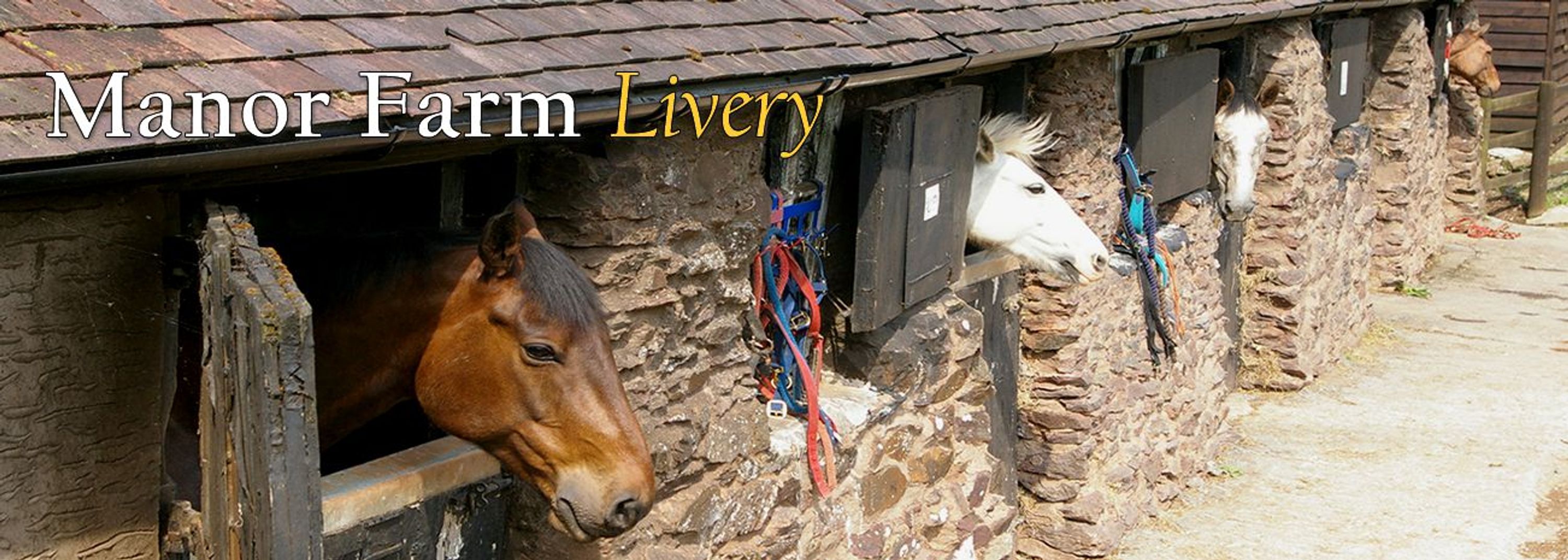 Livery at Manor Farm