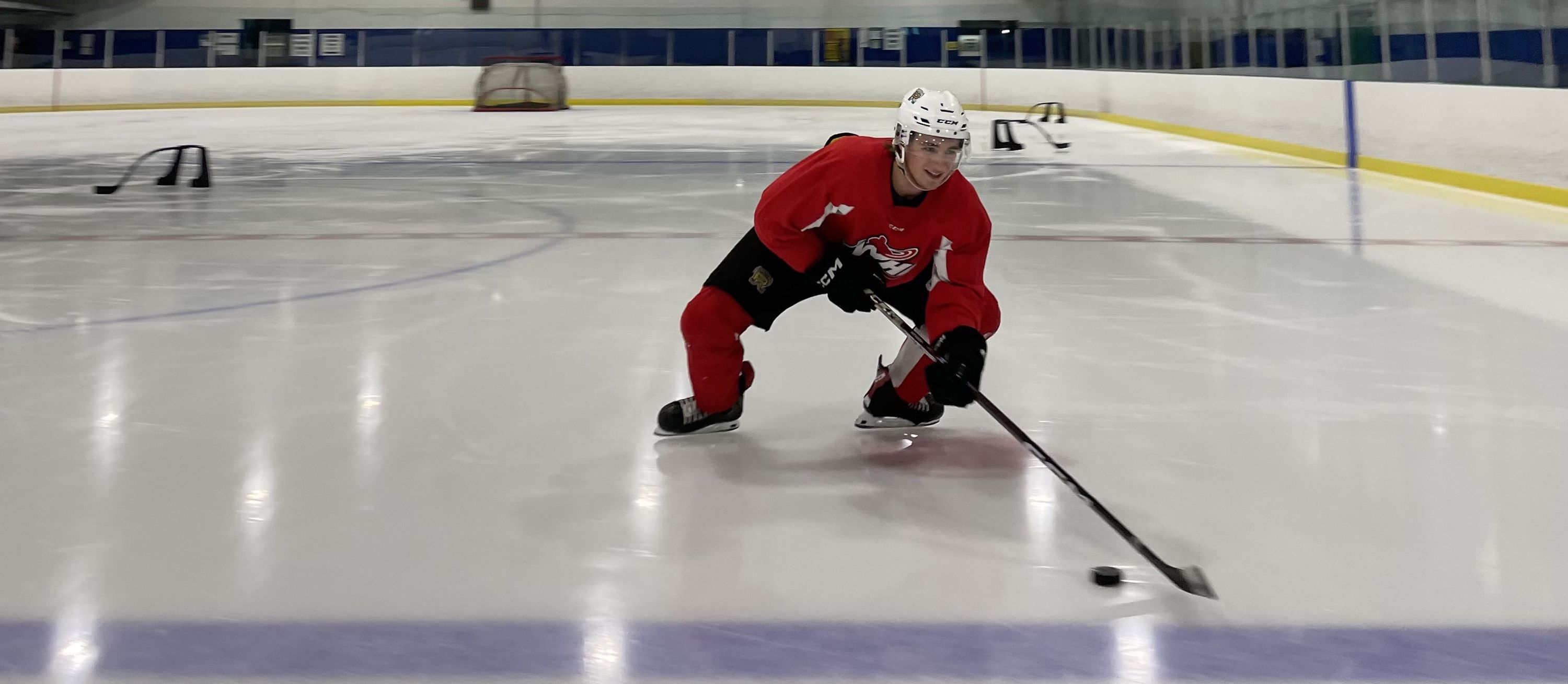 Elite Skating & Hockey Development