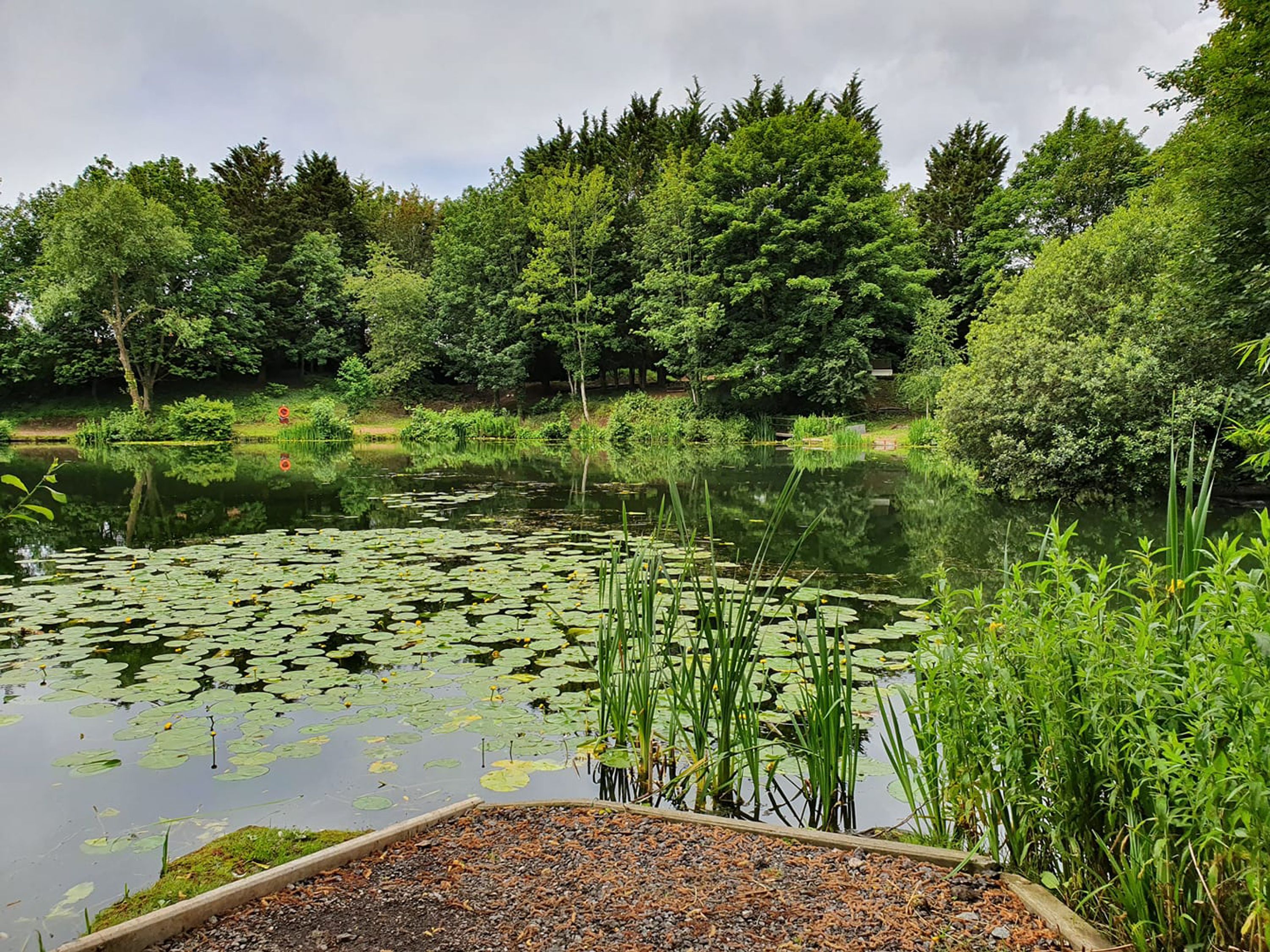 Lido (alcove angling)