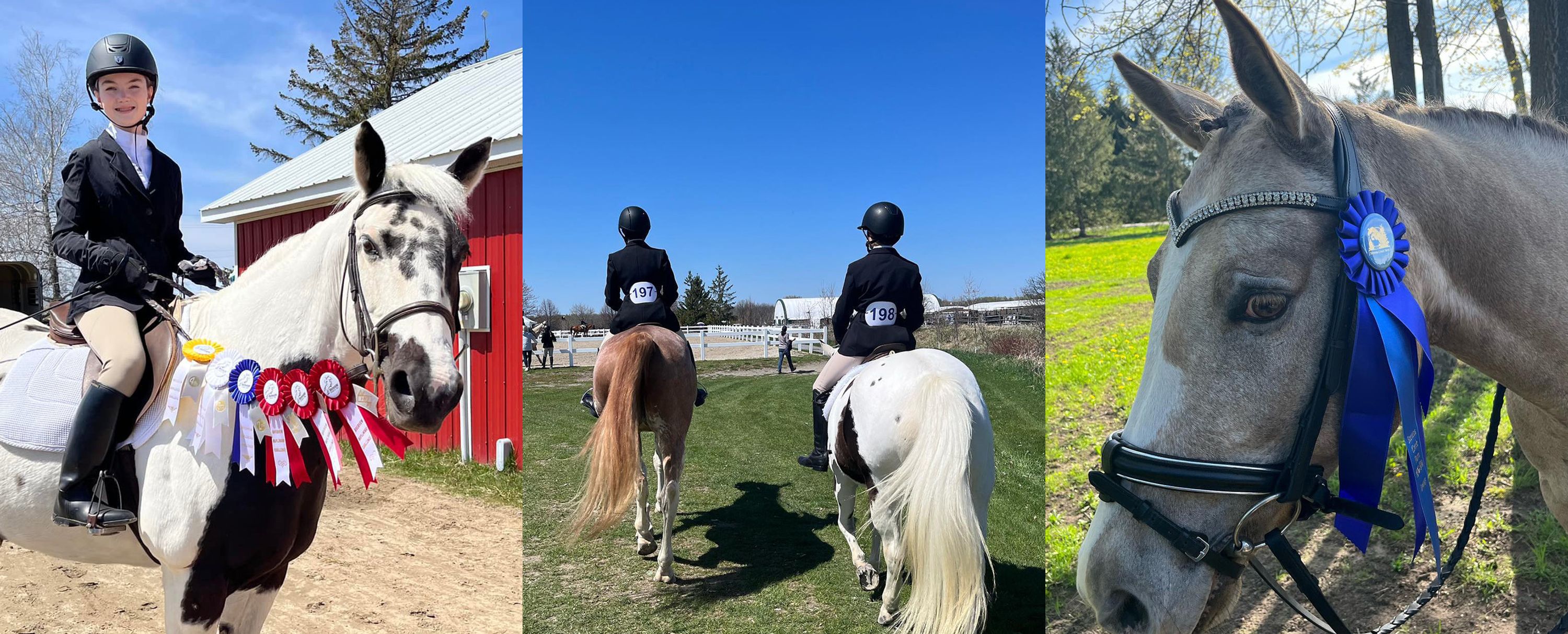 Riverview Stables