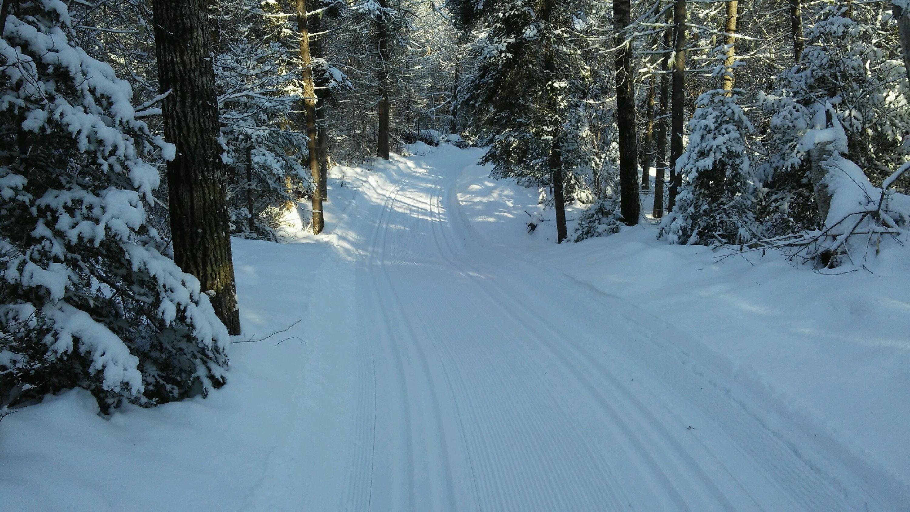 Club de Ski Norfond