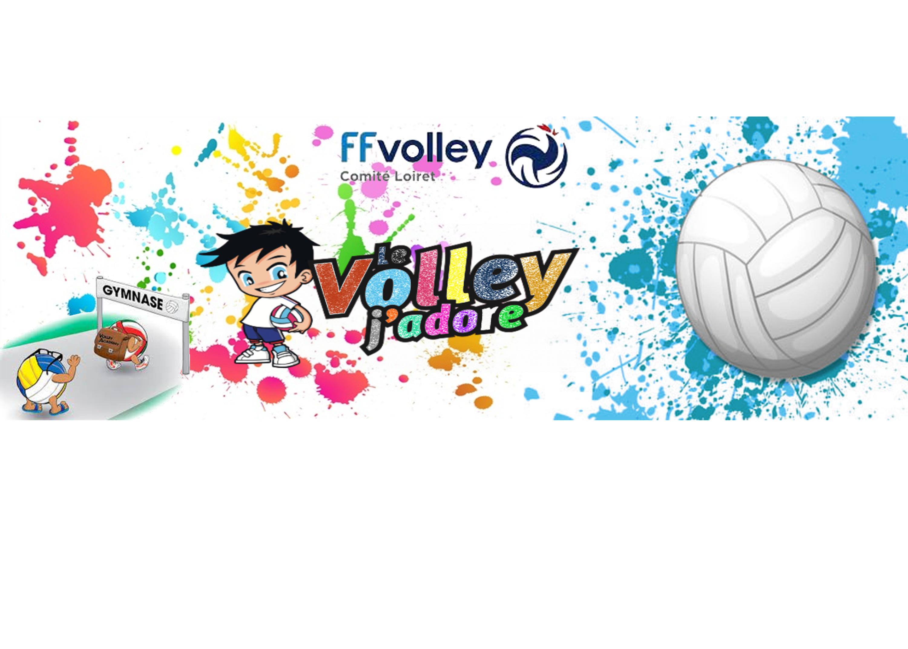 Comité Départemental de Volley Ball du Loiret