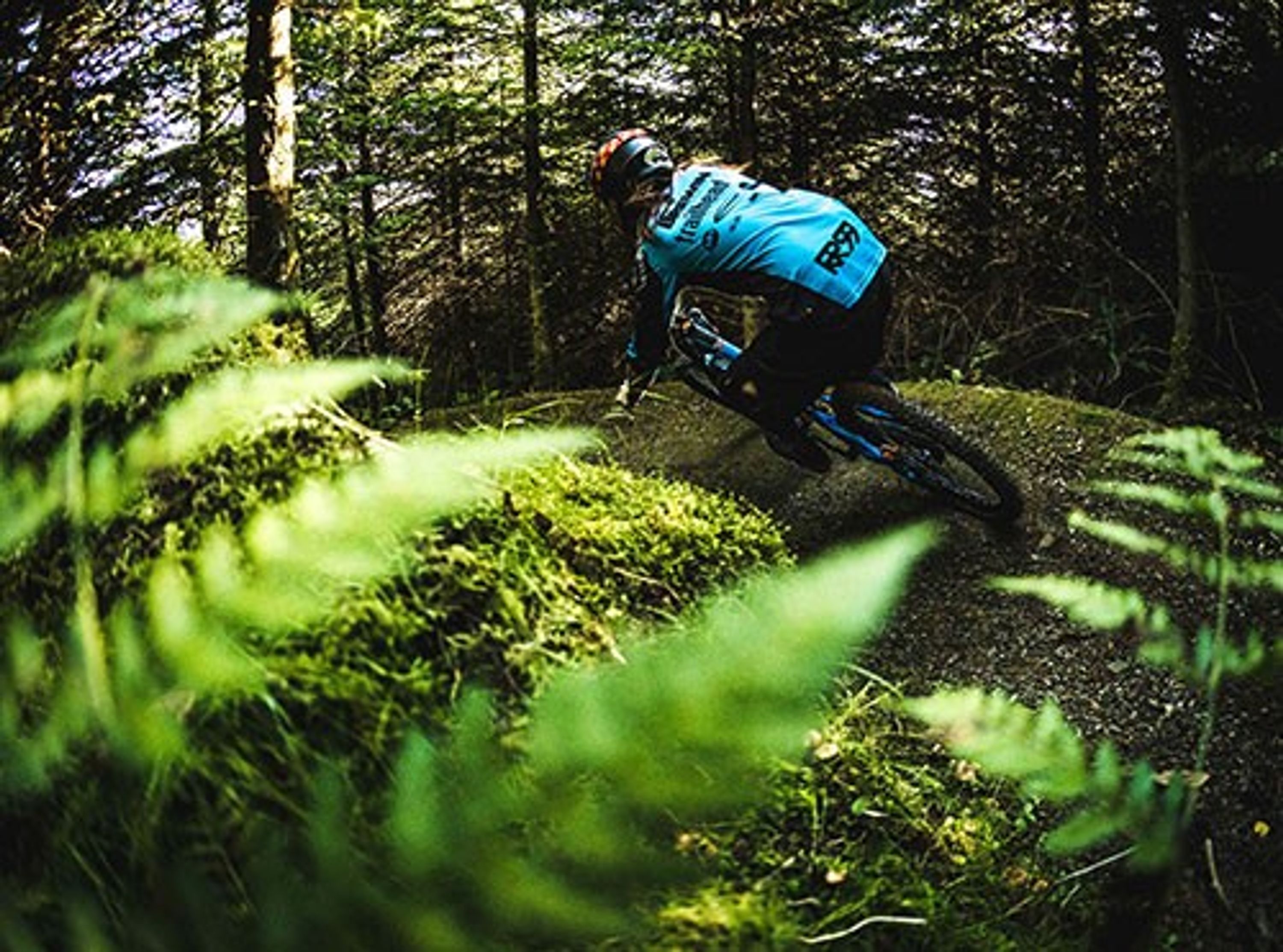 Dyfi Bike Park
