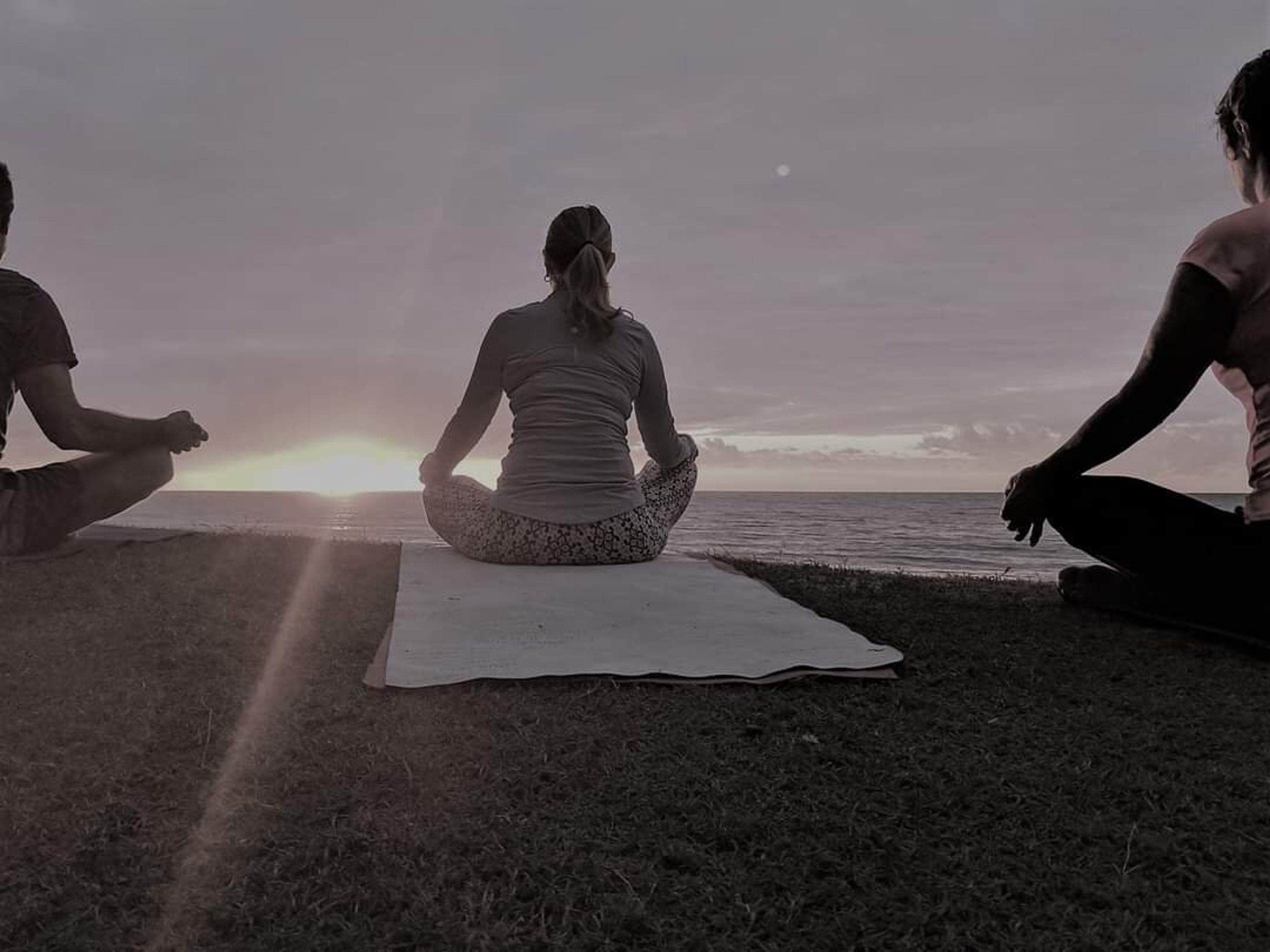 Palm Cove Yoga Timetable