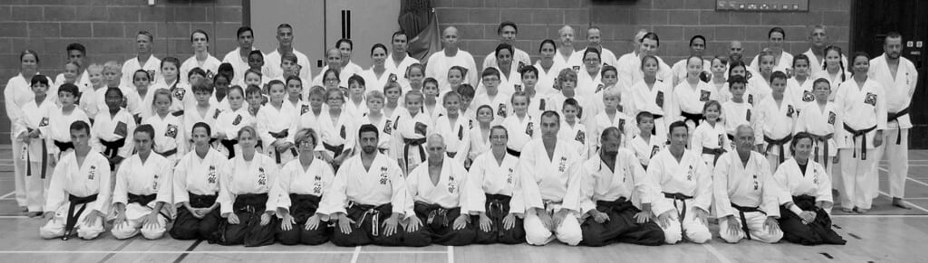Ryushinkan Karatedo