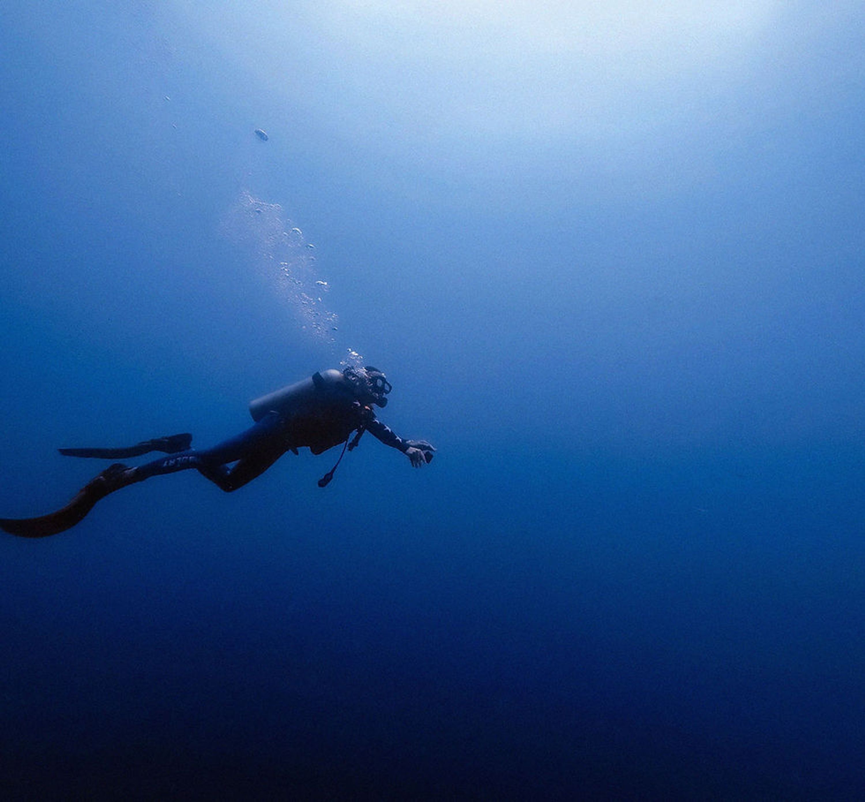 Performance Diver