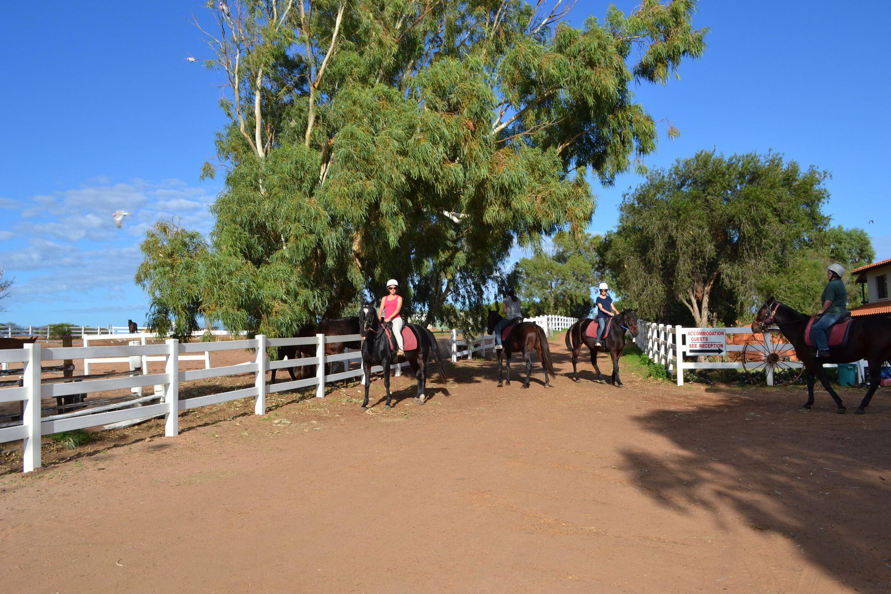 Trail Ride Tour at Big River Ranch