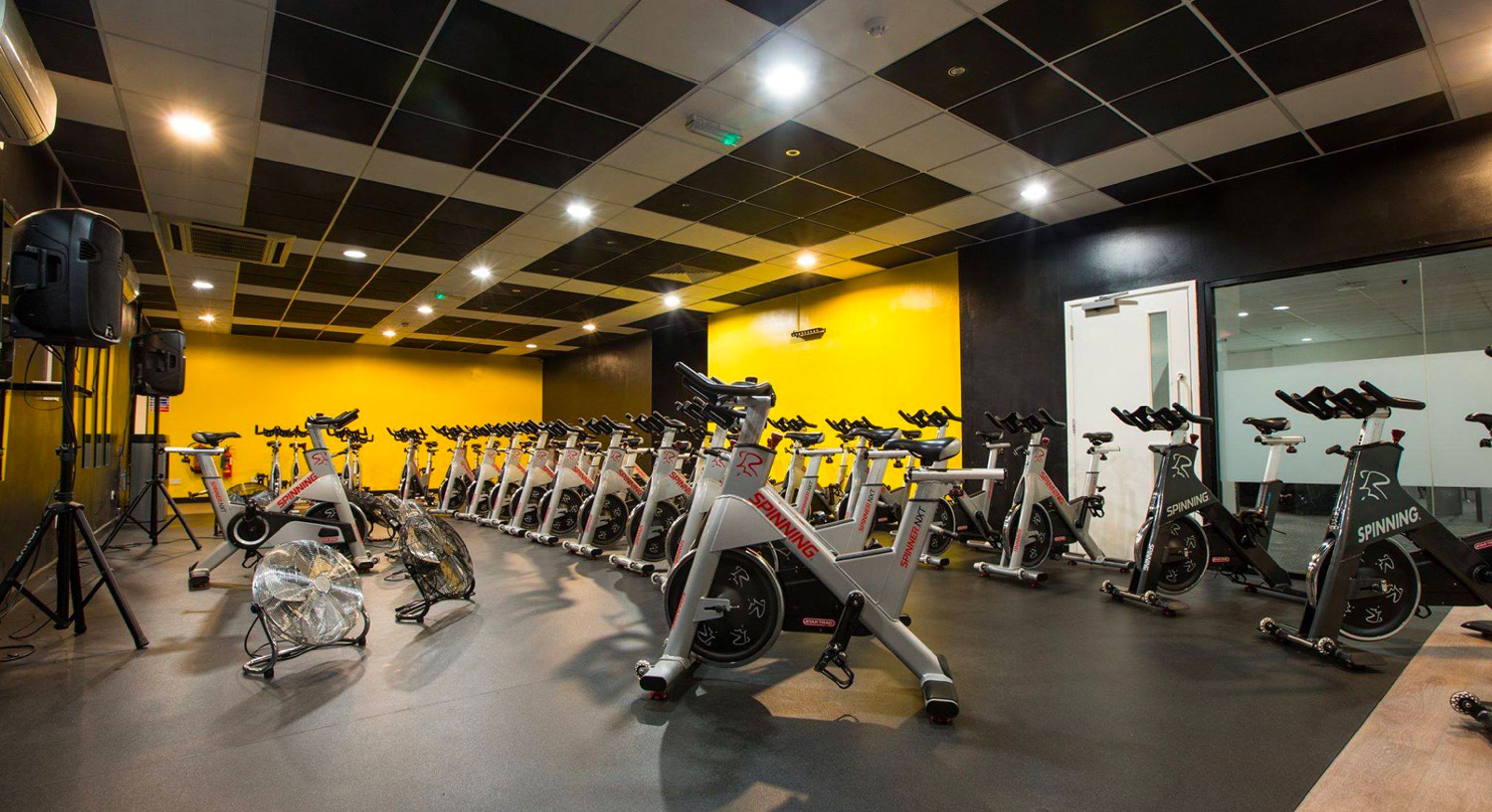 RN Gym