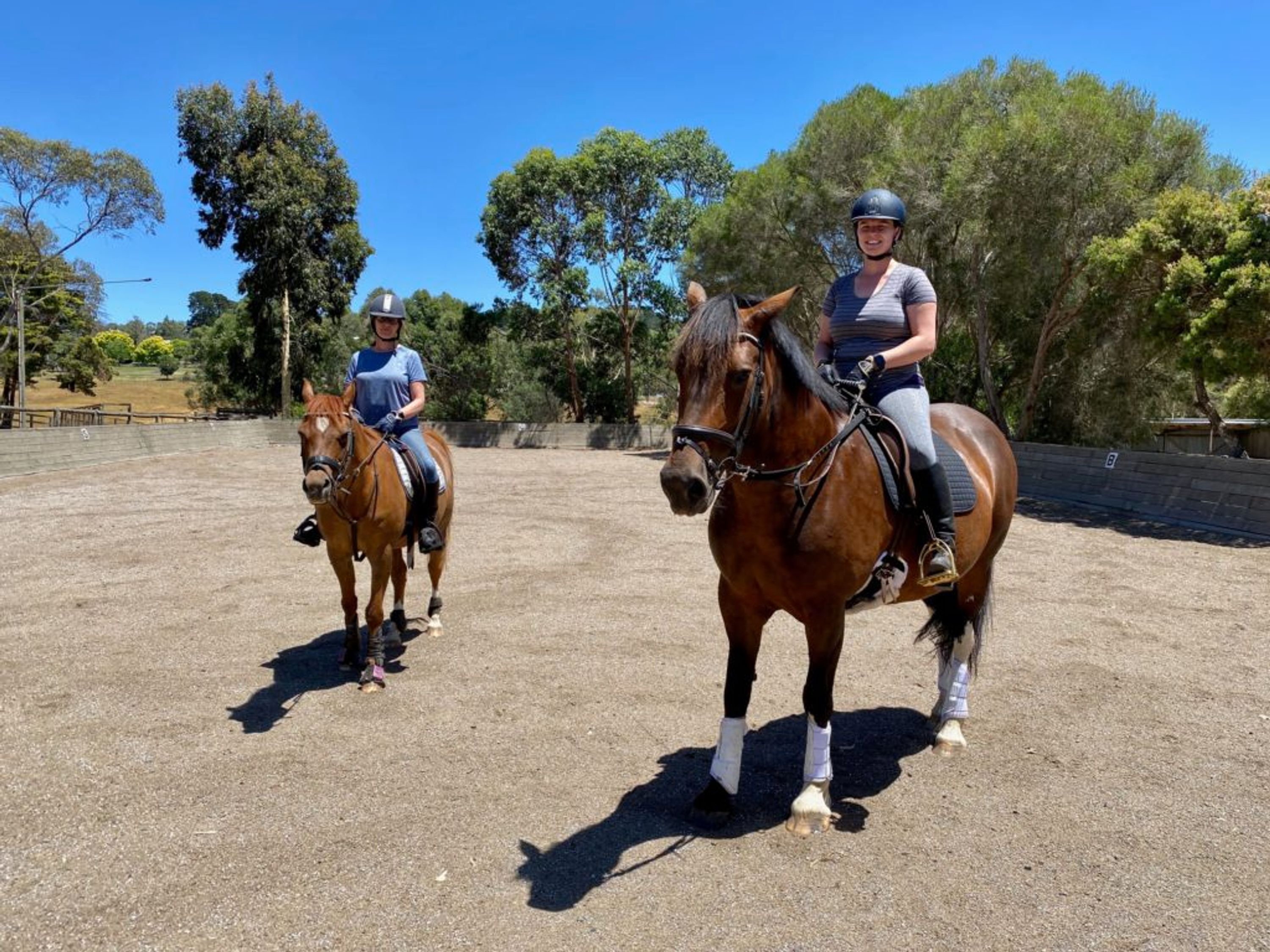 Arragon Homestead Riding and Agistment