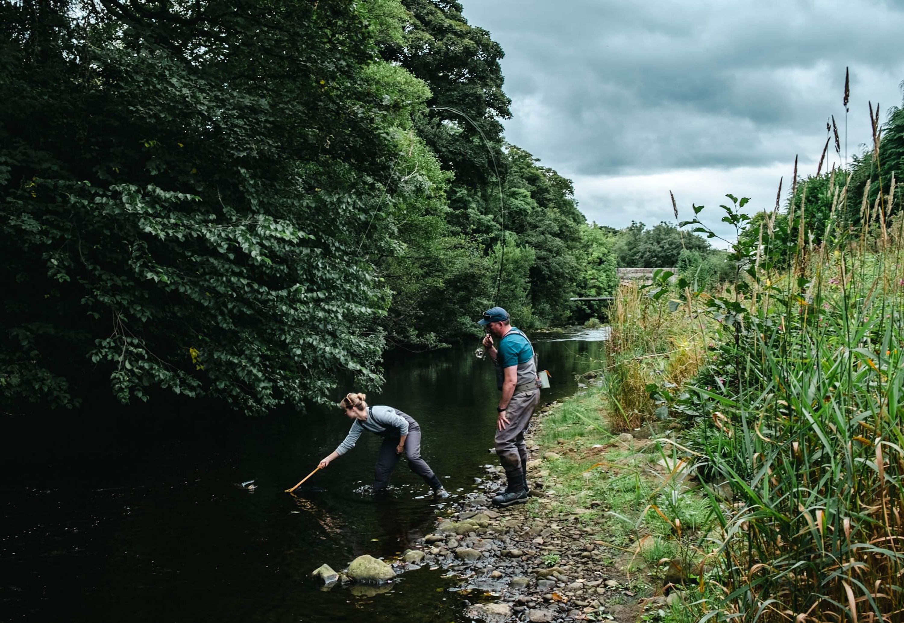 Boatfield Guided Fly Fishing