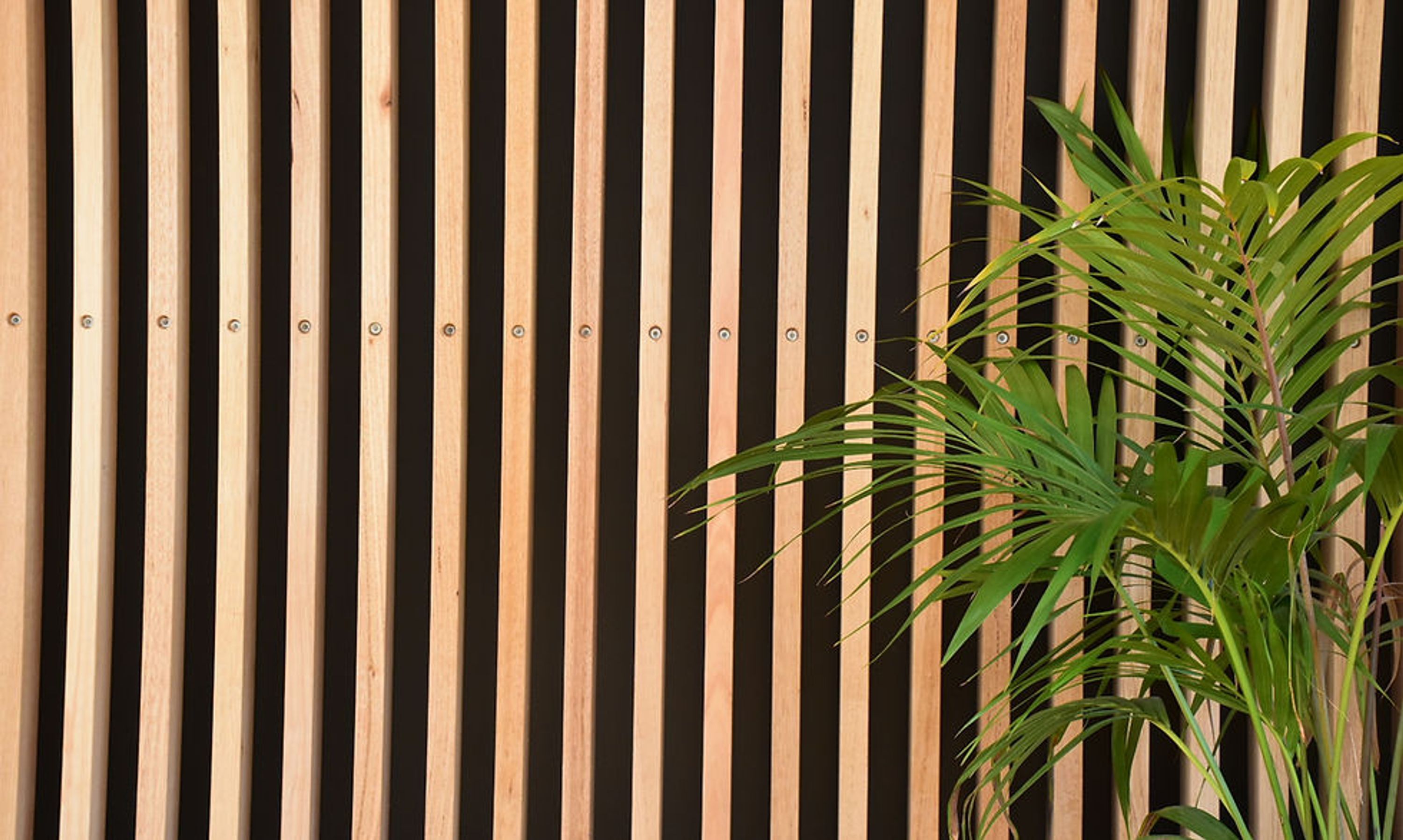 The health oasis