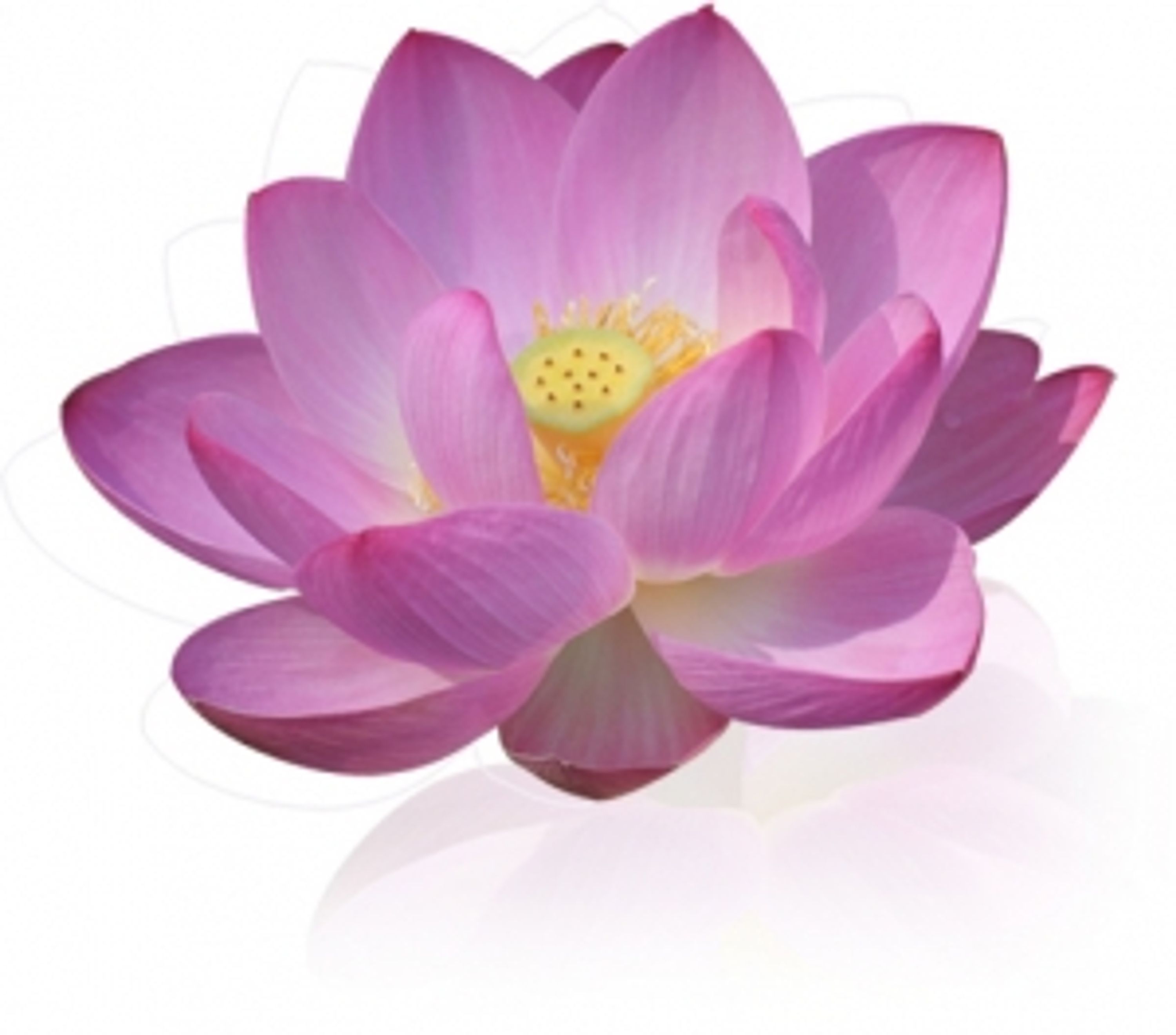 Association Ananda Garches