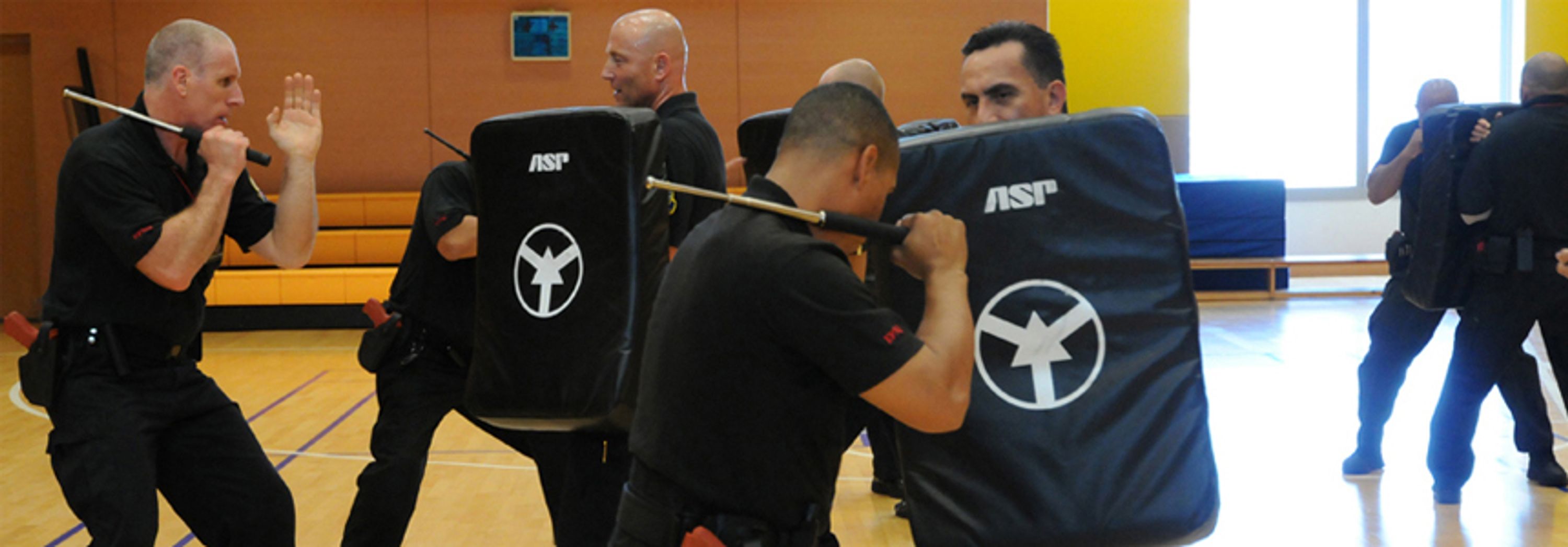Modern Combatives
