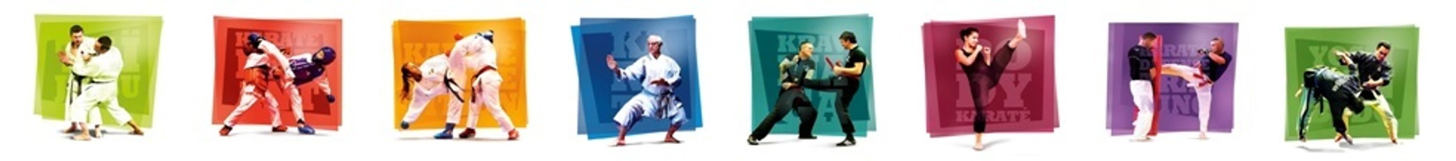 Karate Club Ambert