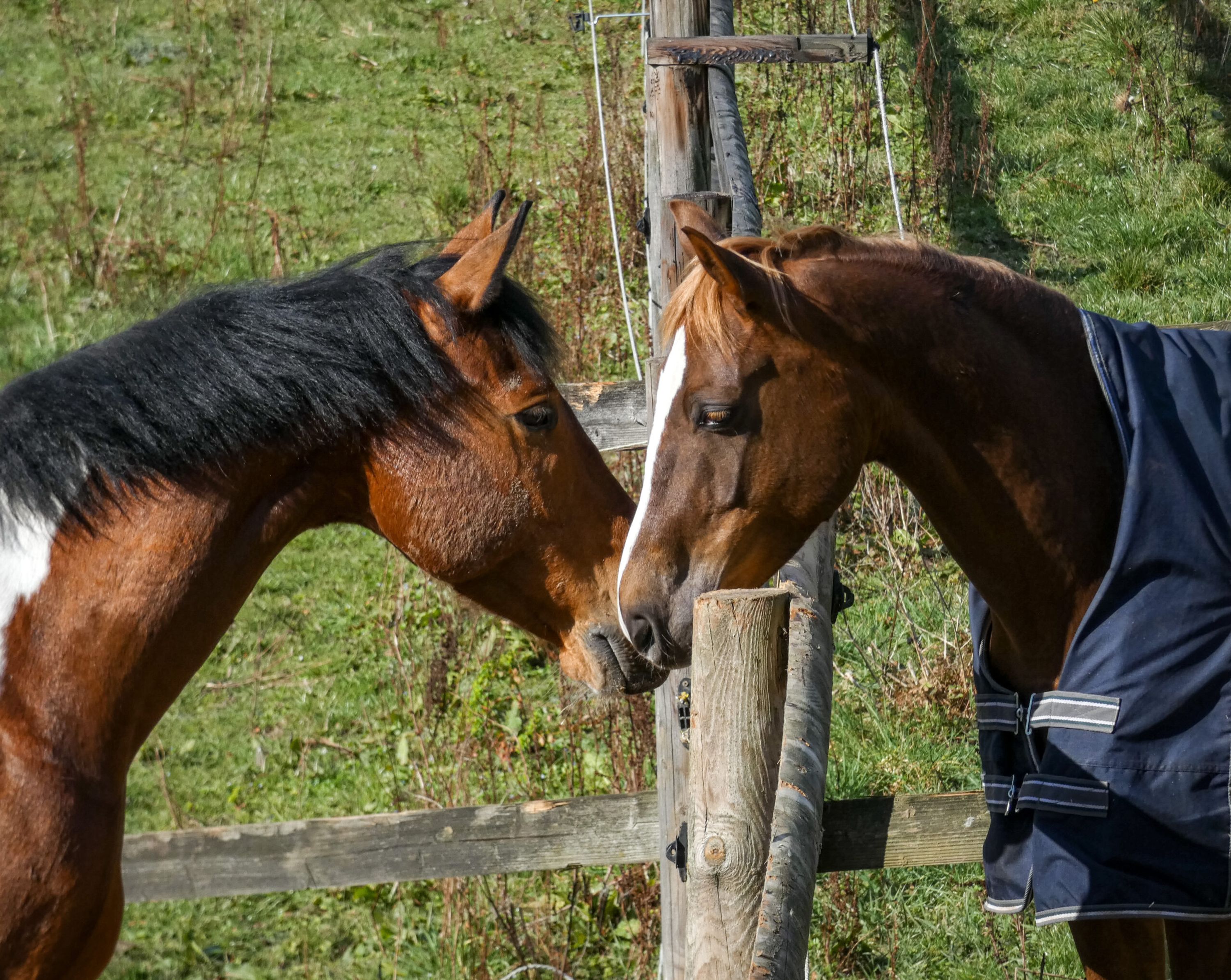 Stud Des Sources