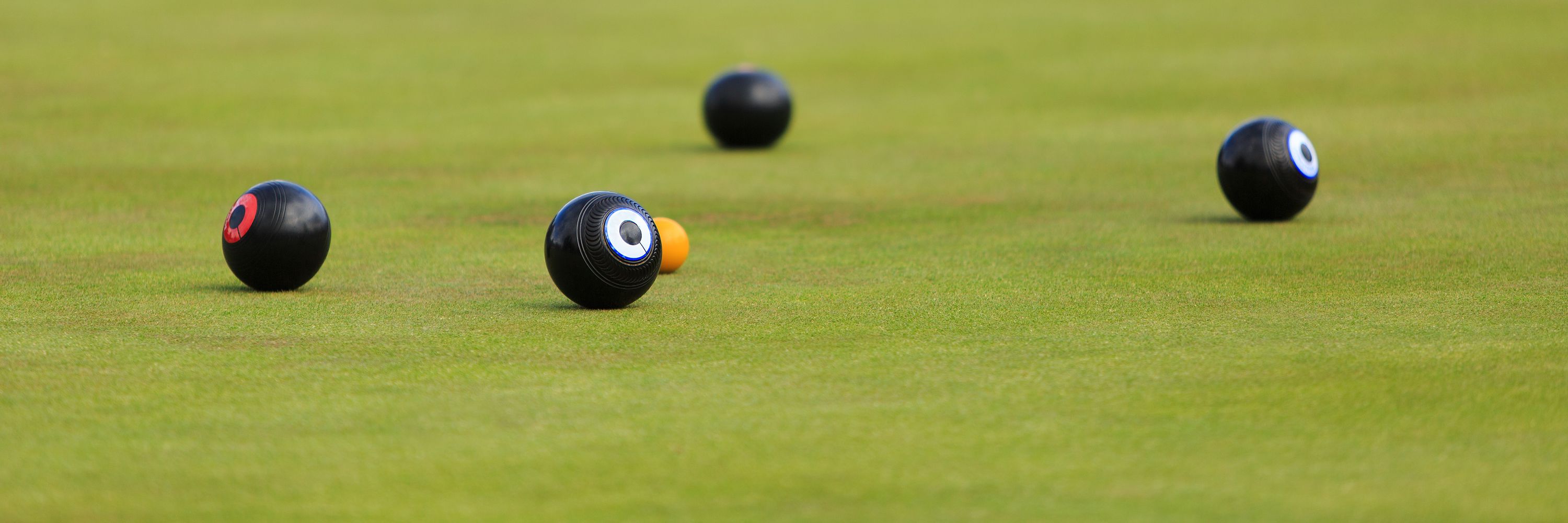 Barefoot Bowls at Bareena Bowlo Barefoot Bowls at Bareena Bowlo