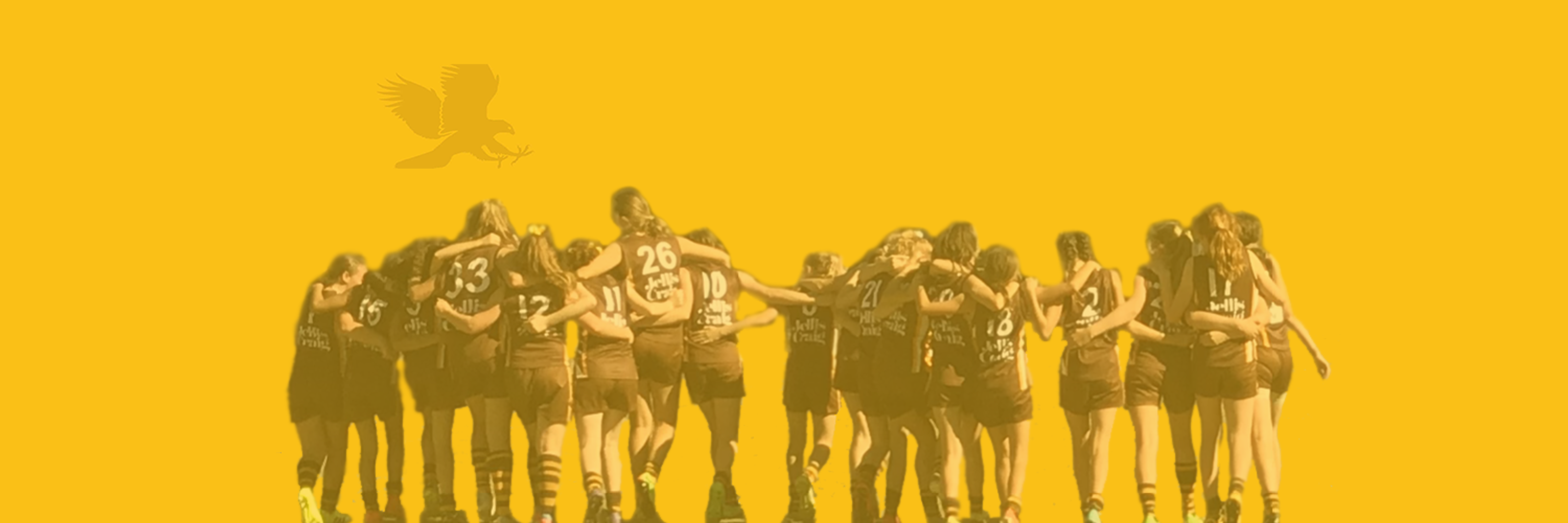 Hawthorn Citizens Junior Football Club