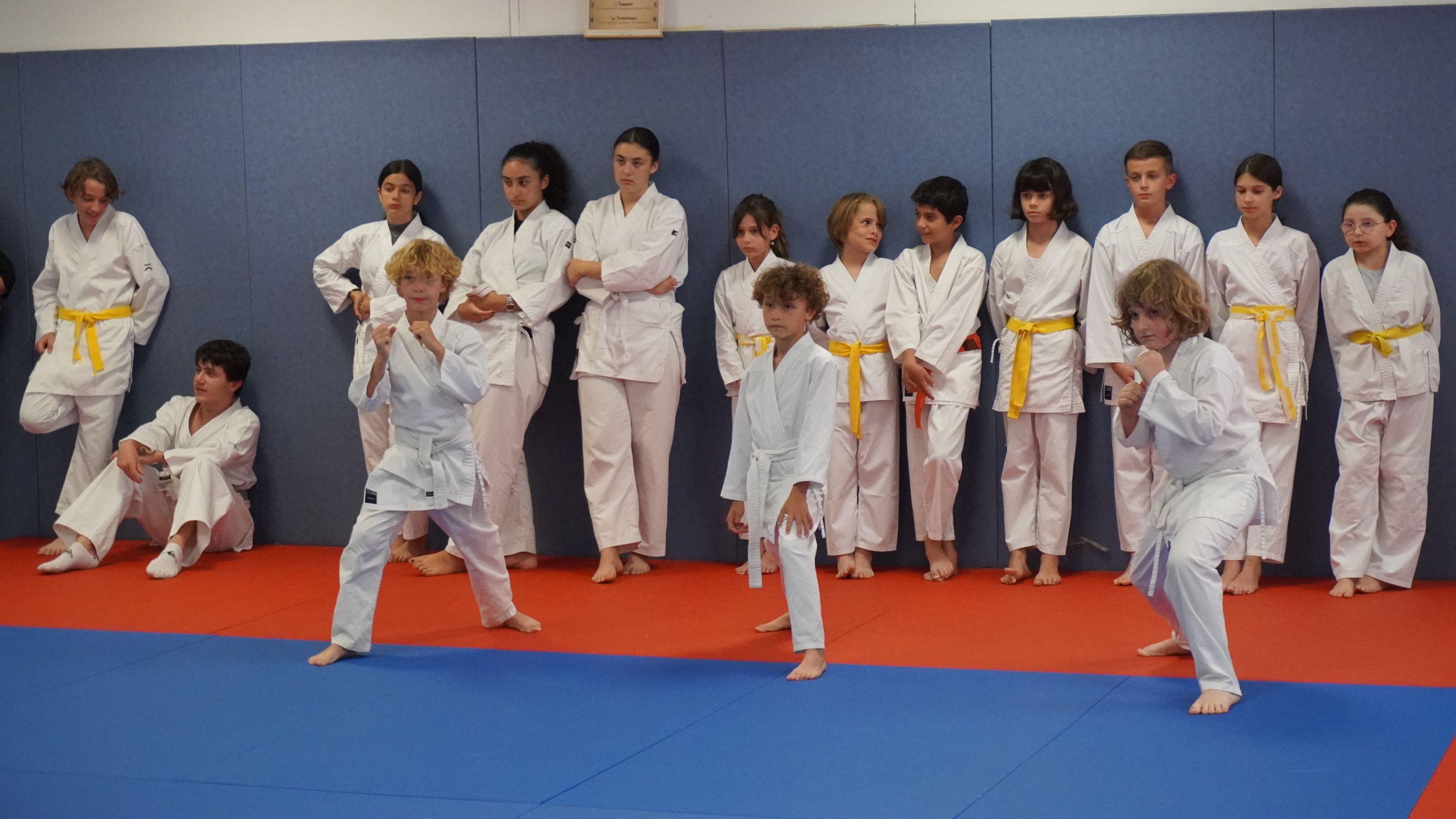 School Karate Sanary