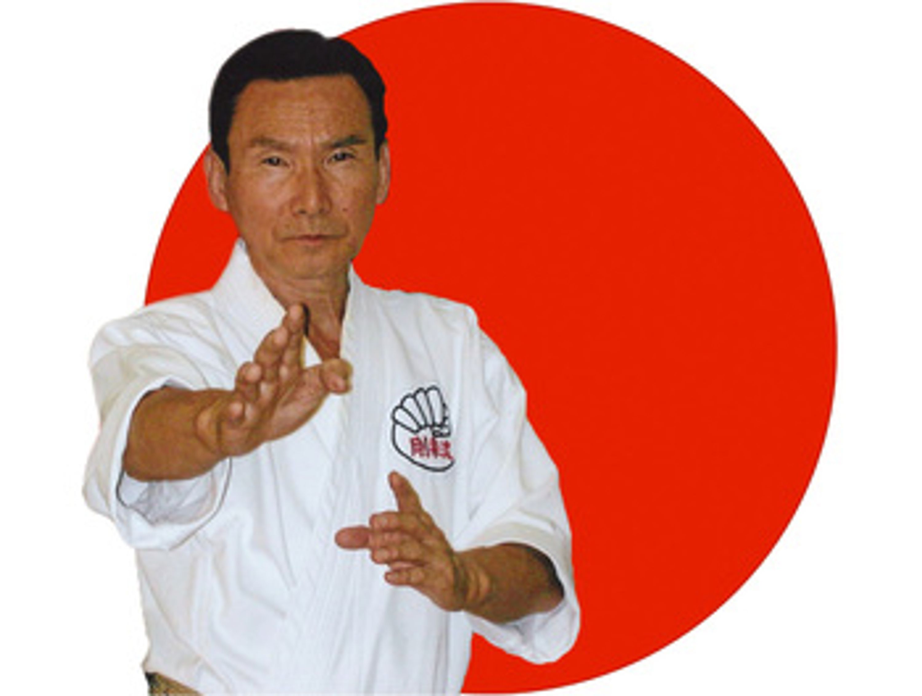 The Pursuit of Peace, The Martial Arts Tradition Continues Class