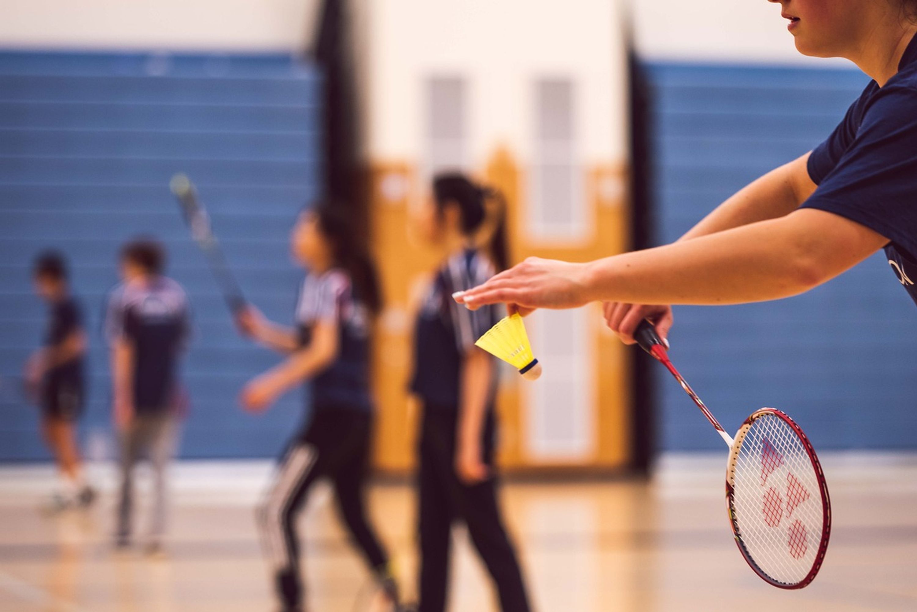 Ligue de Normandie de Badminton