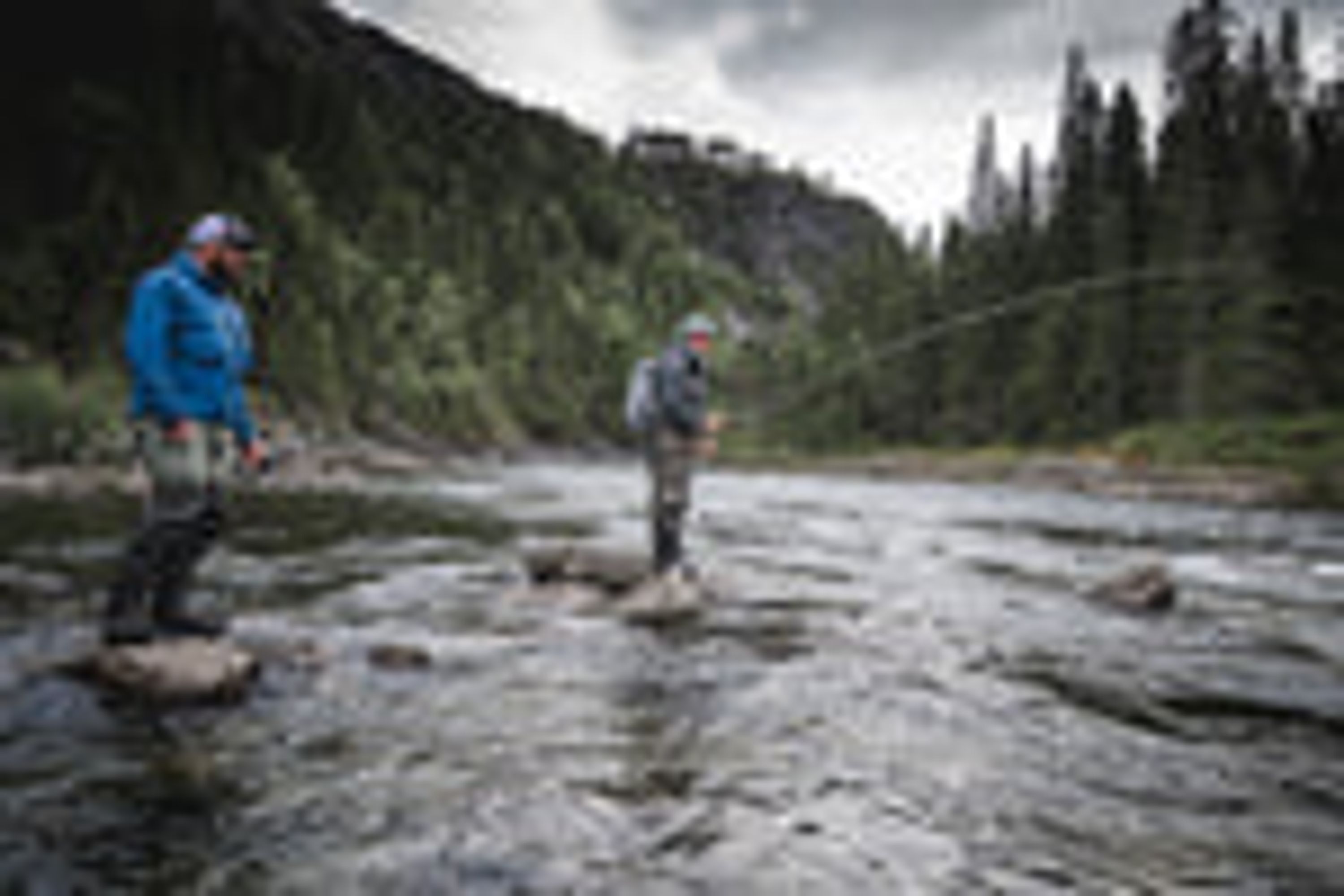 TwinPeakes Fly Fishing