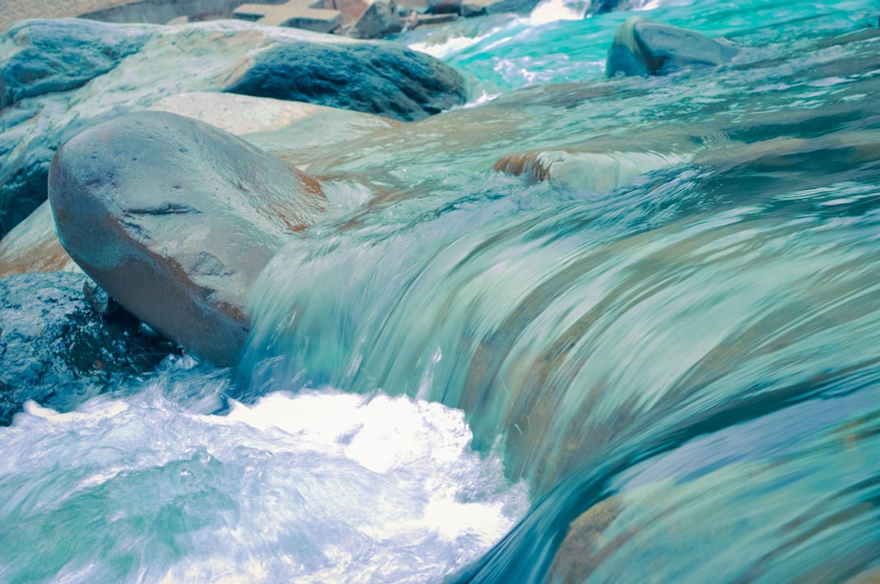 BC Fly Fishing Charters