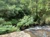 Erskine Falls