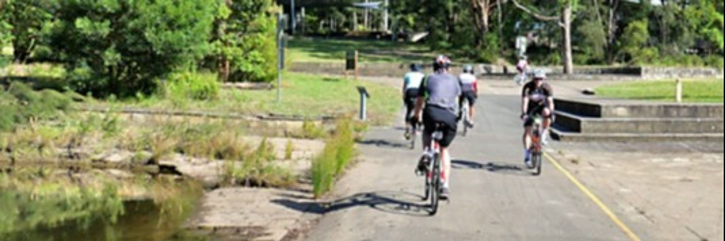Lane Cove River Roll