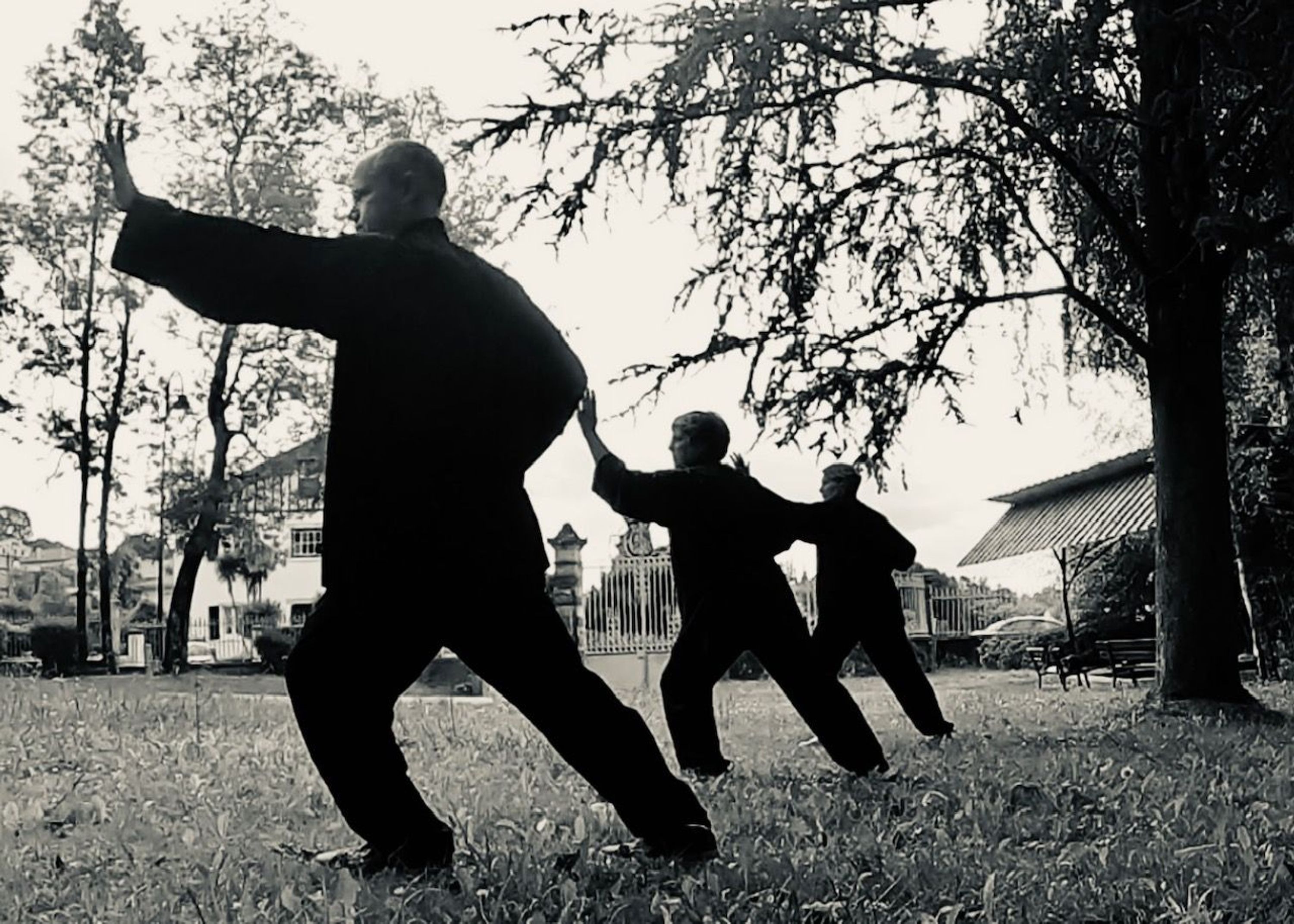Association Le Souffle Des Bambous, Qi Gong And Tai Chi En Pays D'hasparren