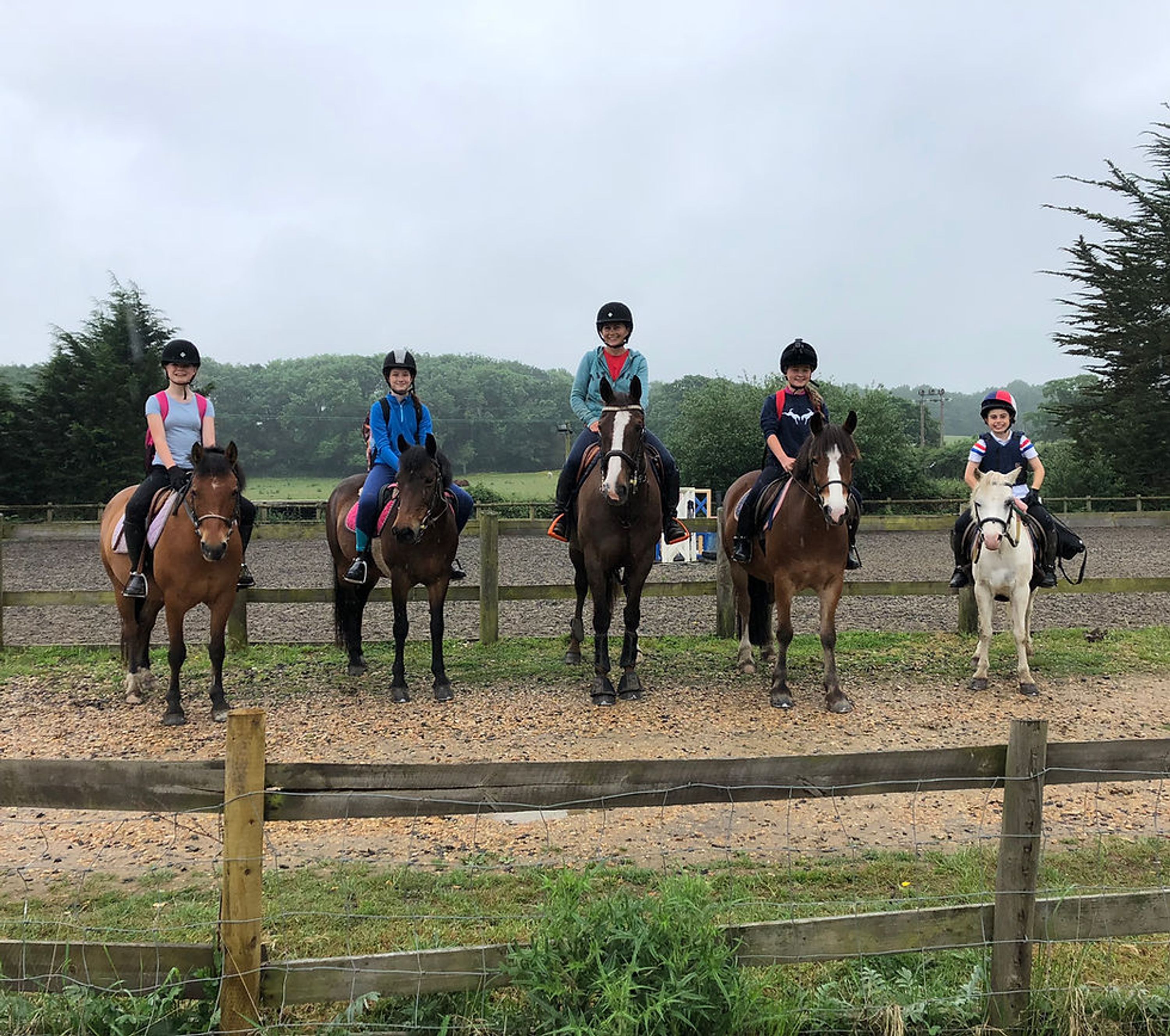 Trotters Riding School & Livery Yard | Horse Riding in Ryde