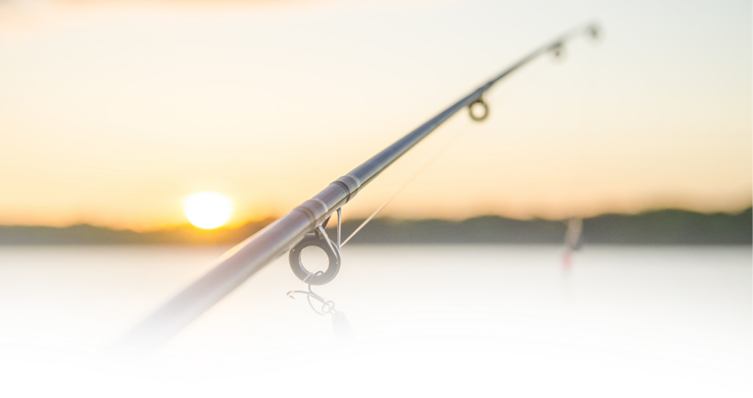Gone Fishing Tours