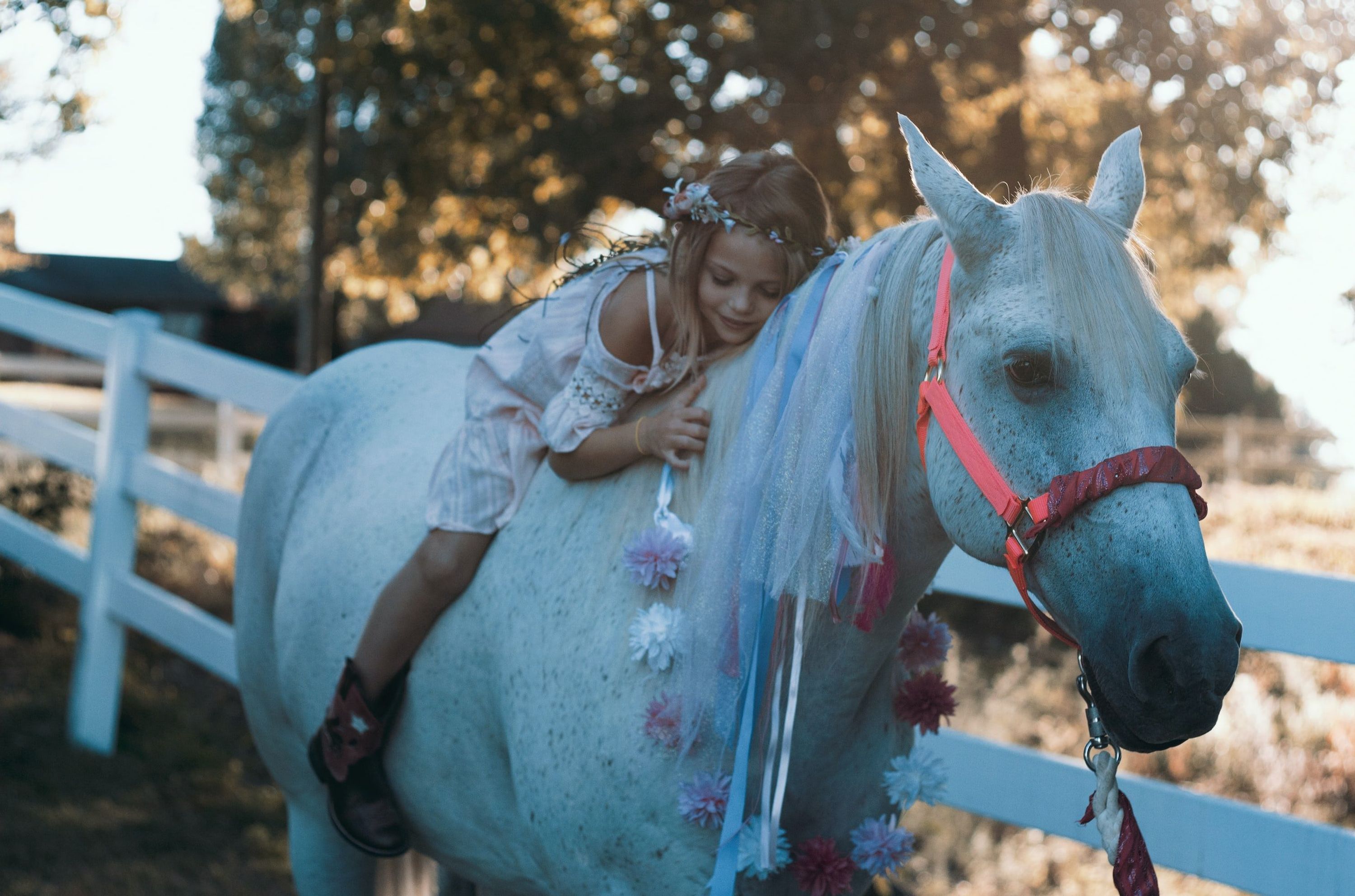 Sumner Valley Riding School